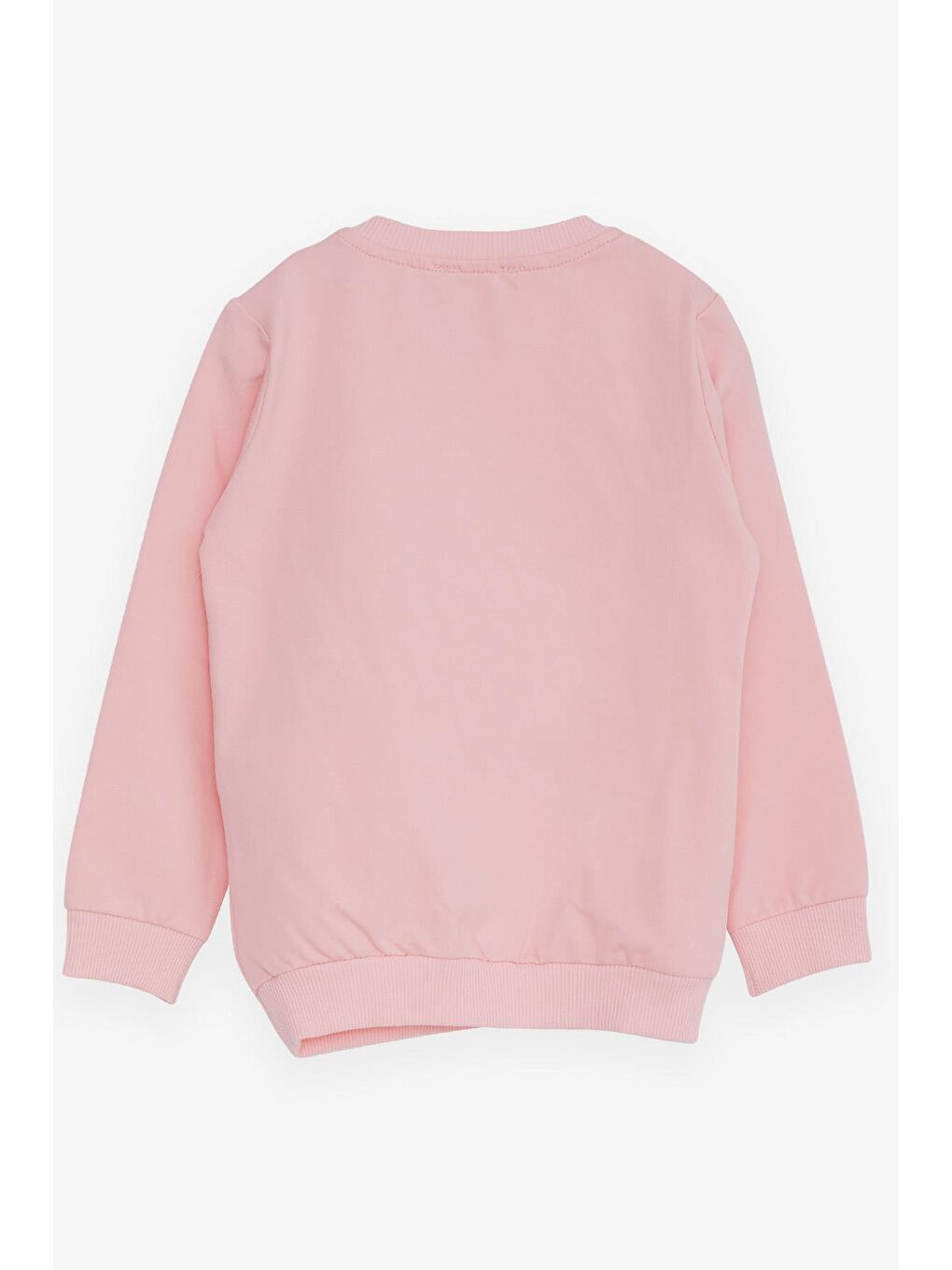 Breeze Pembe Kız Çocuk Sweatshirt Ayıcık Aksesuarlı Pembe (1.5-5 Yaş) - 1