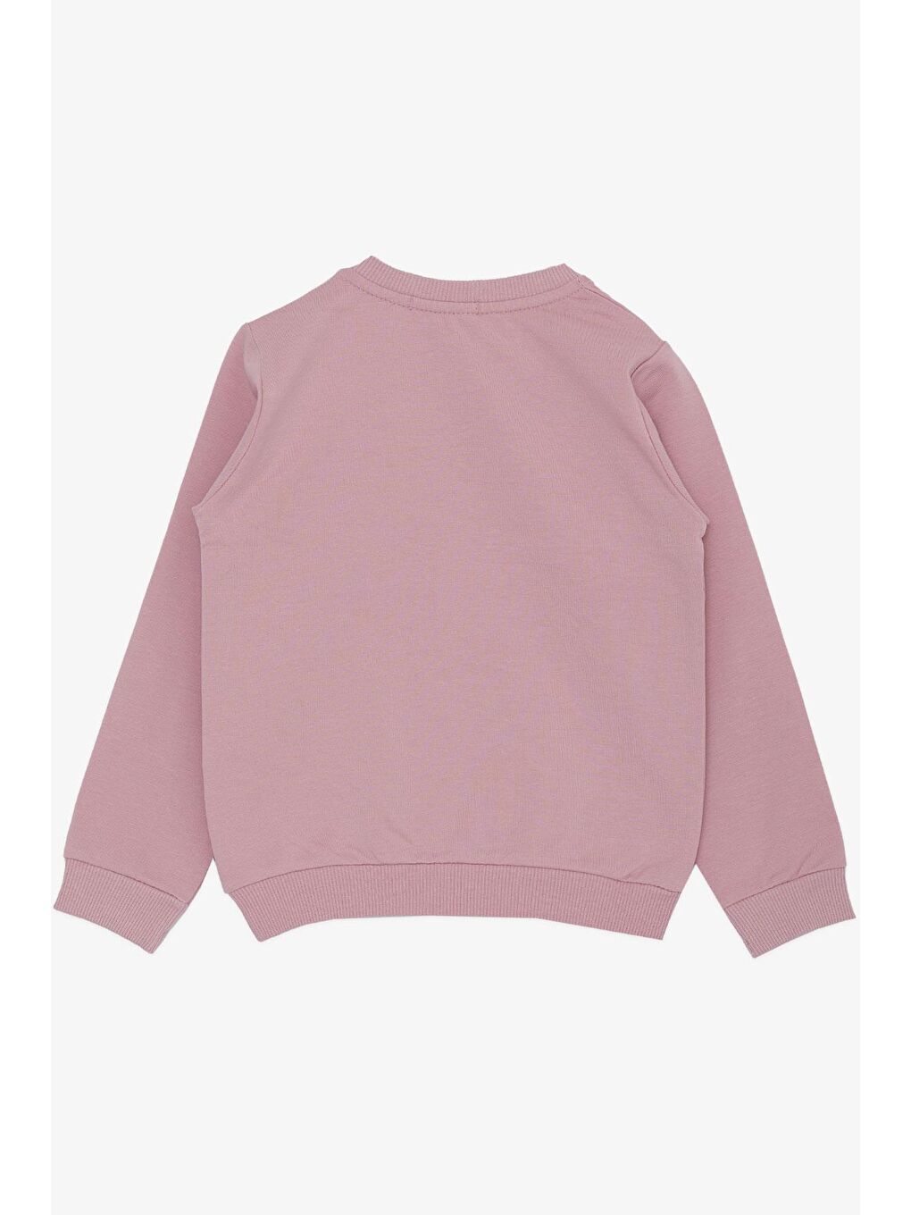 Breeze Lila Kız Bebek Sweatshirt Sevimli Ceylan Taçlı Ceylancık Baskılı Lila (1.5 Yaş) - 4