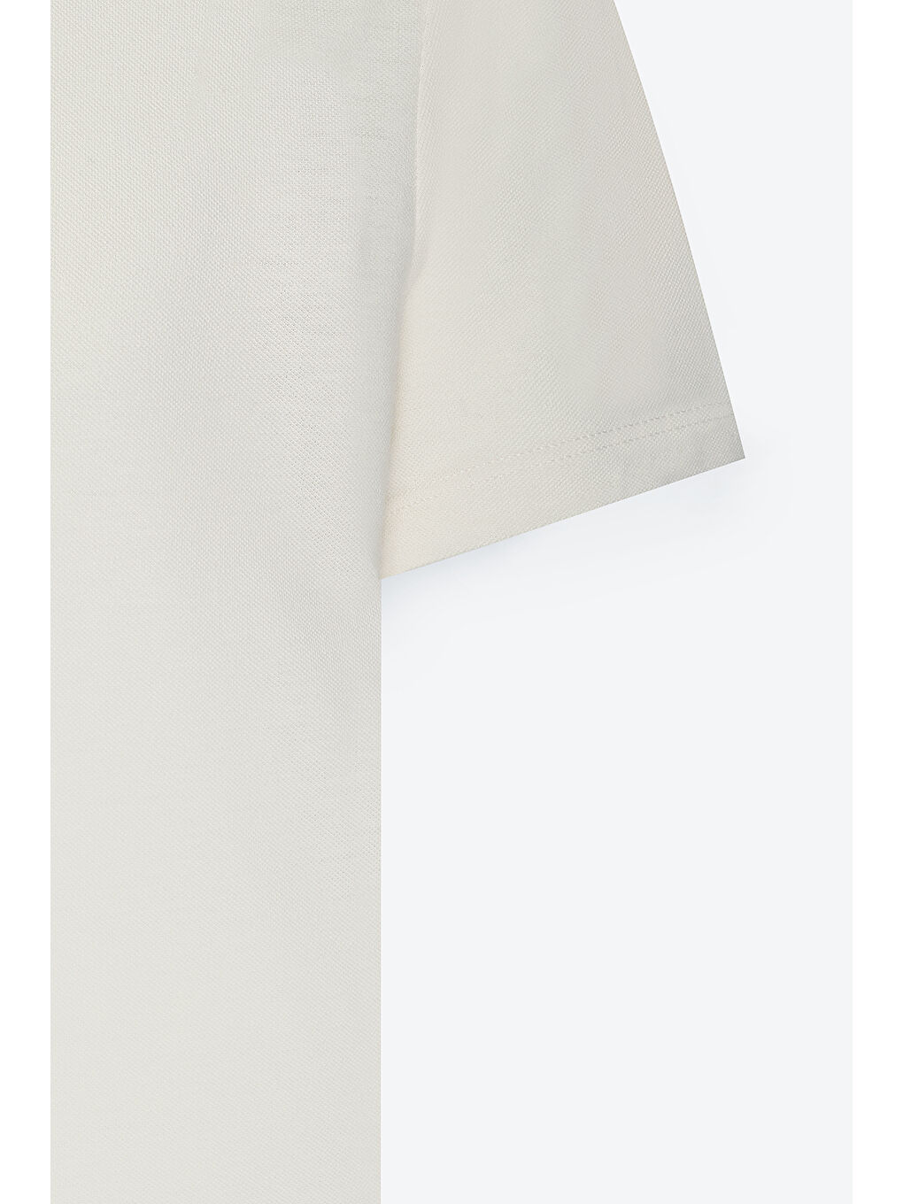 Erkek Ekru Dar Kesim Pamuklu Bisiklet Yaka Tişört-7