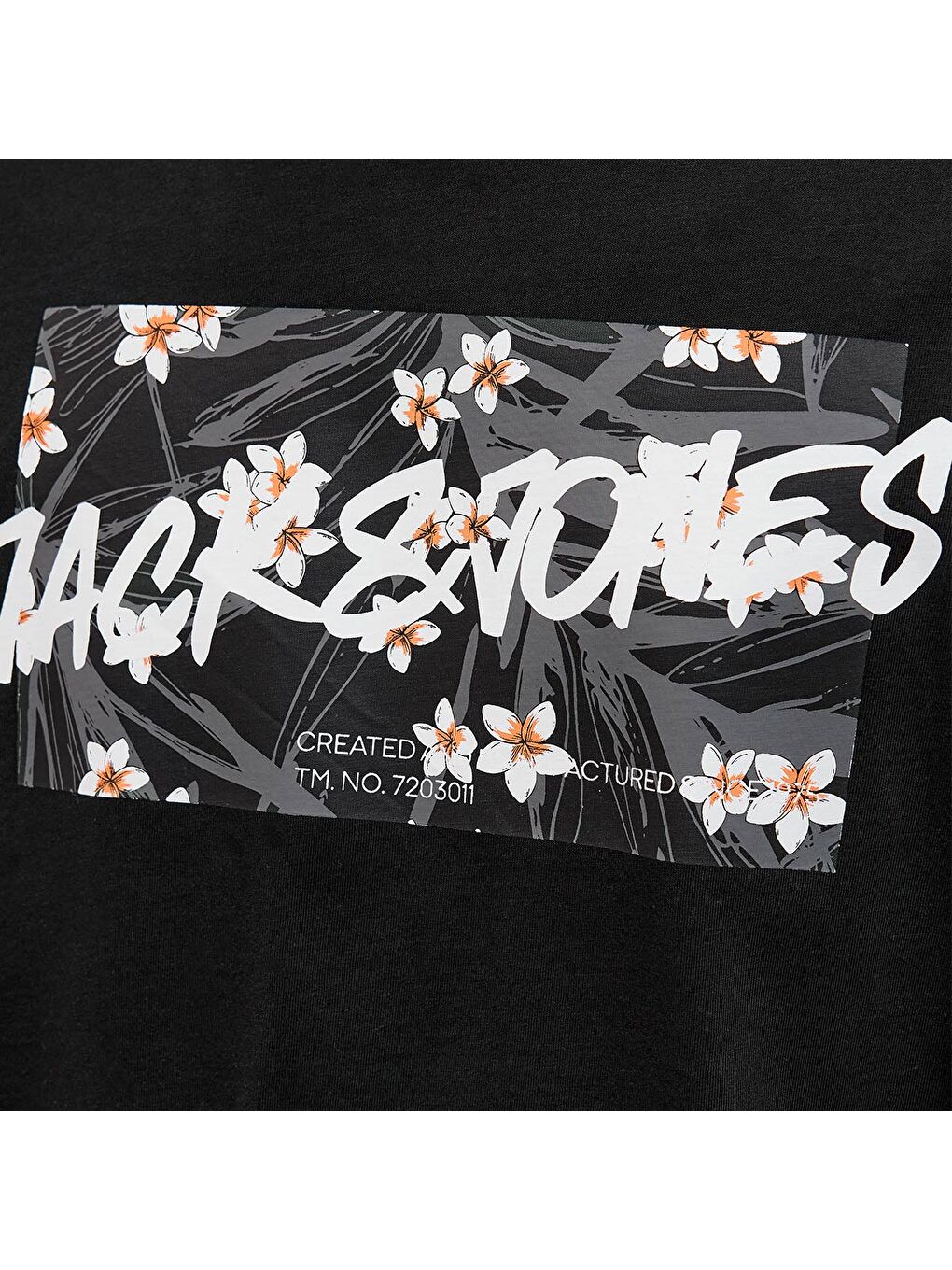 Hawaii Shape Erkek Siyah Yuvarlak Yaka Spor Tişört-4