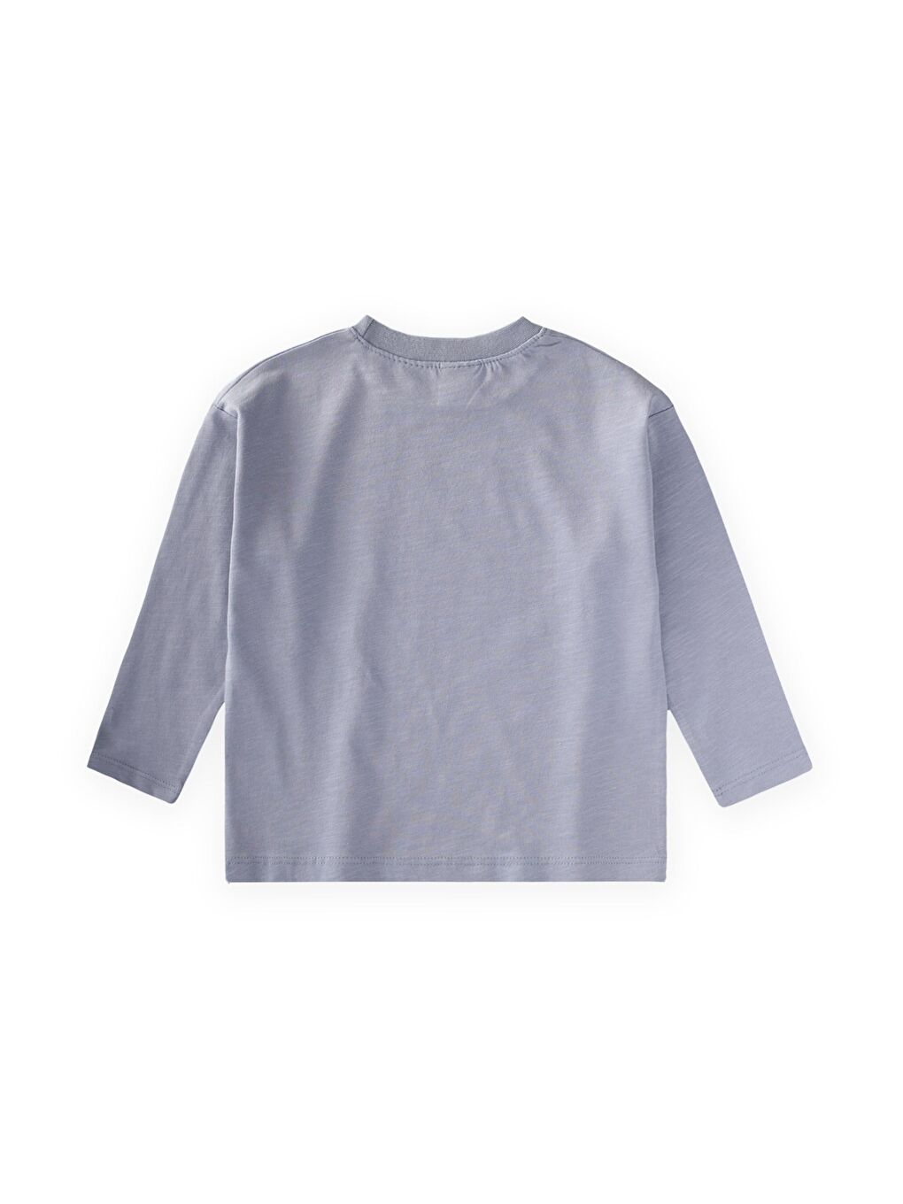 Sloganlı Uzun Kollu T-Shirt 2-10 Yaş Pastel Mavi-1