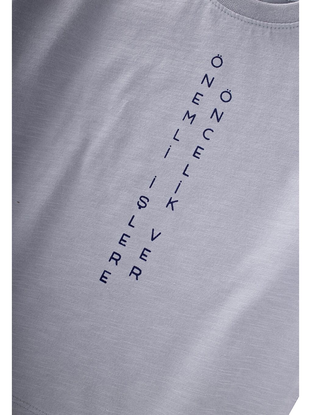 Sloganlı Uzun Kollu T-Shirt 2-10 Yaş Pastel Mavi-2