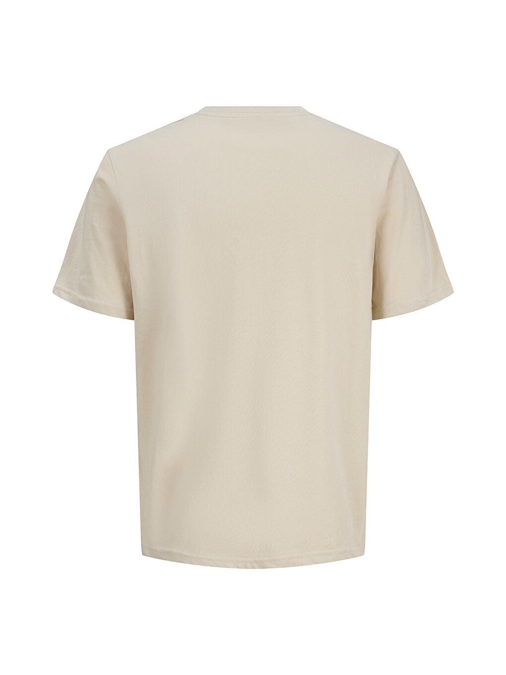 Down Crew Neck Erkek Bej Yuvarlak Yaka Tişört-1