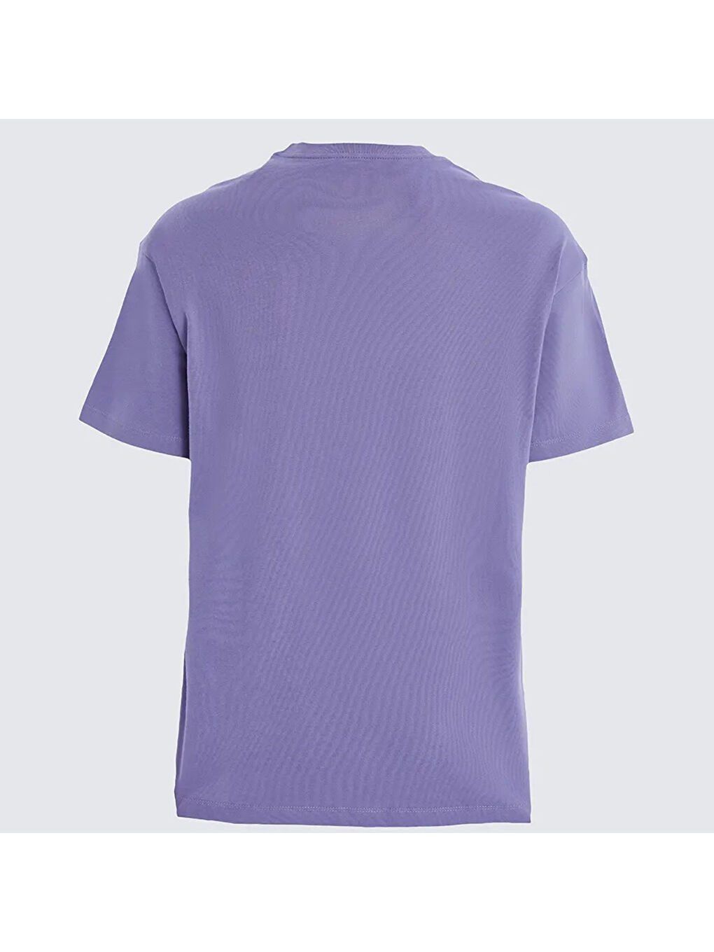 Brix Erkek Mor Yuvarlak Yaka Tişört-1