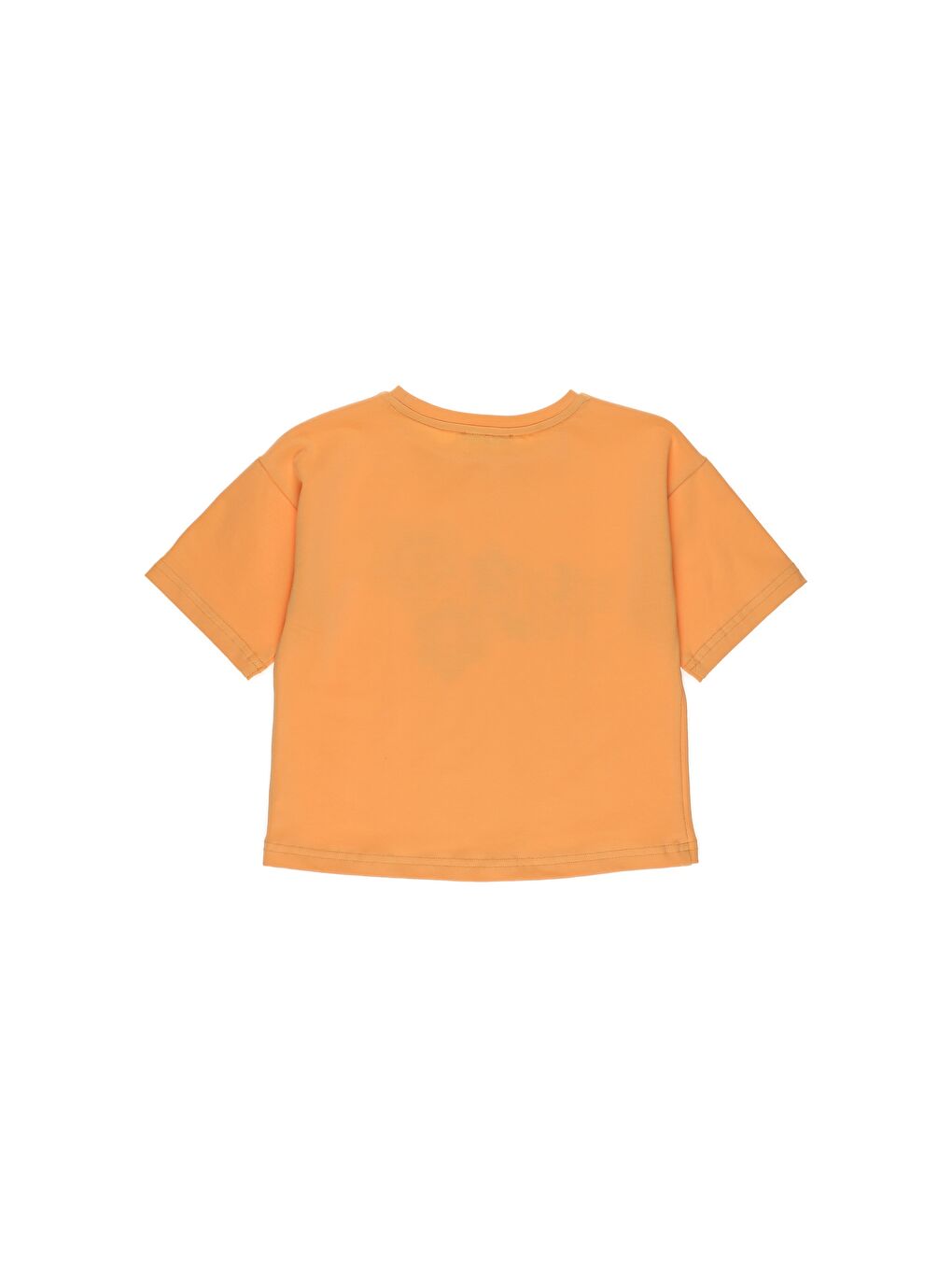 Panço Somon Kız Çocuk  Baskı Detaylı T-Shirt - 2