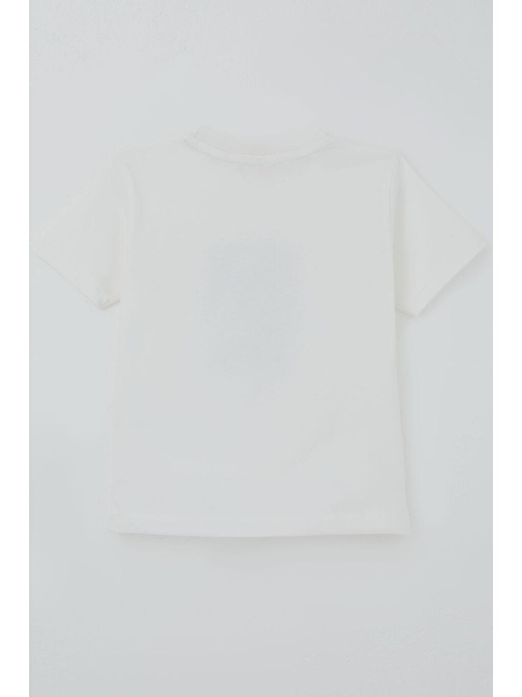 Erkek Çocuk Tişört Havalı Sokak Kaykaycısı Ayıcık Ekru (2-6 Yaş)-1