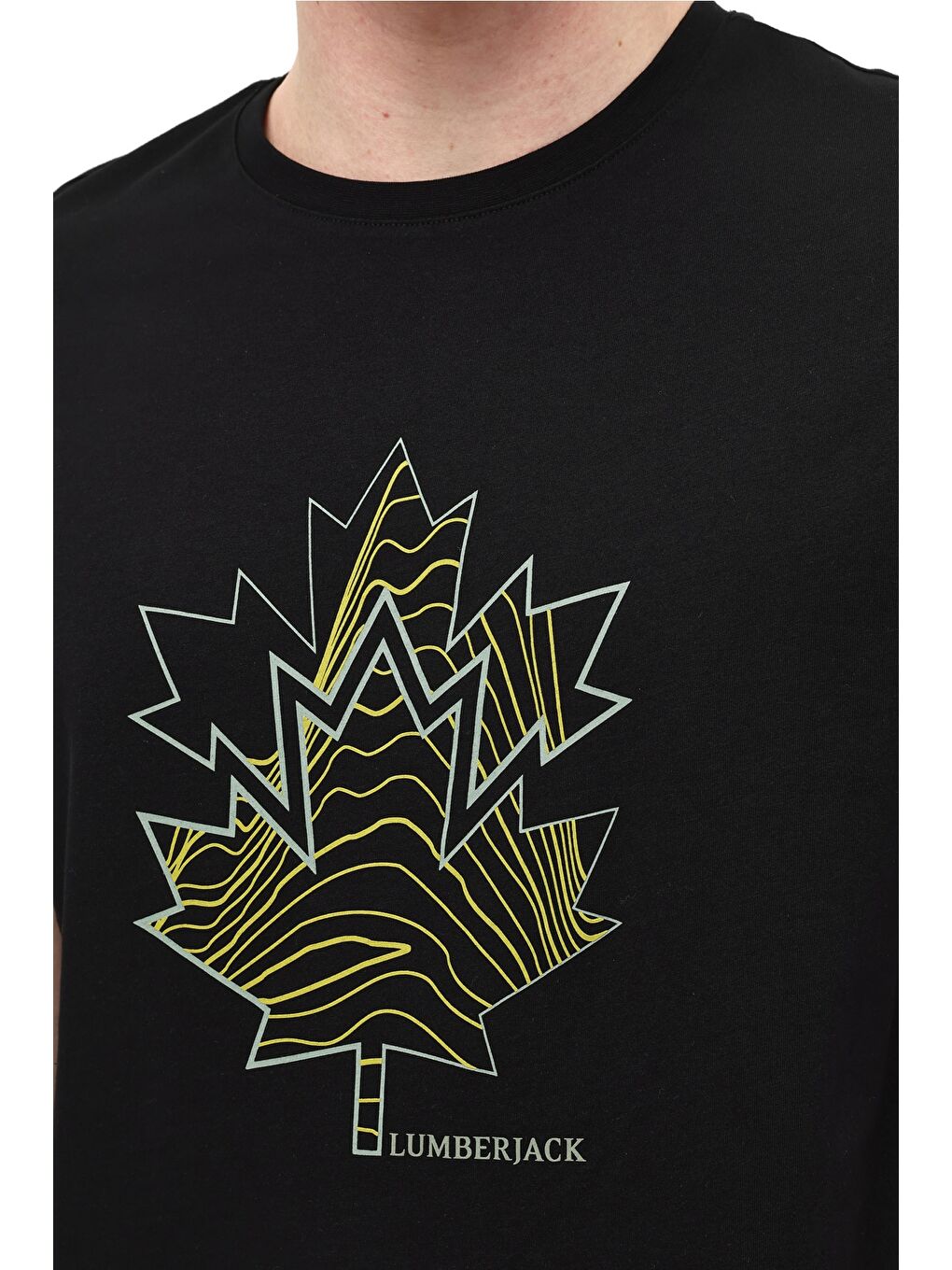 ML BERA 11TRV38 6FX Siyah Erkek Kısa Kol T-Shirt-3