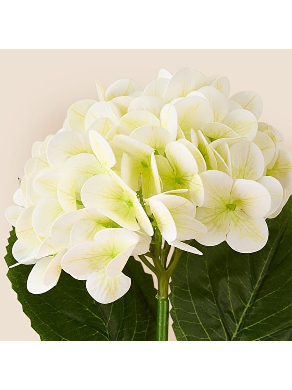 Deco Ortanca Yapay Dal Çiçek - Beyaz - 66 cm-2