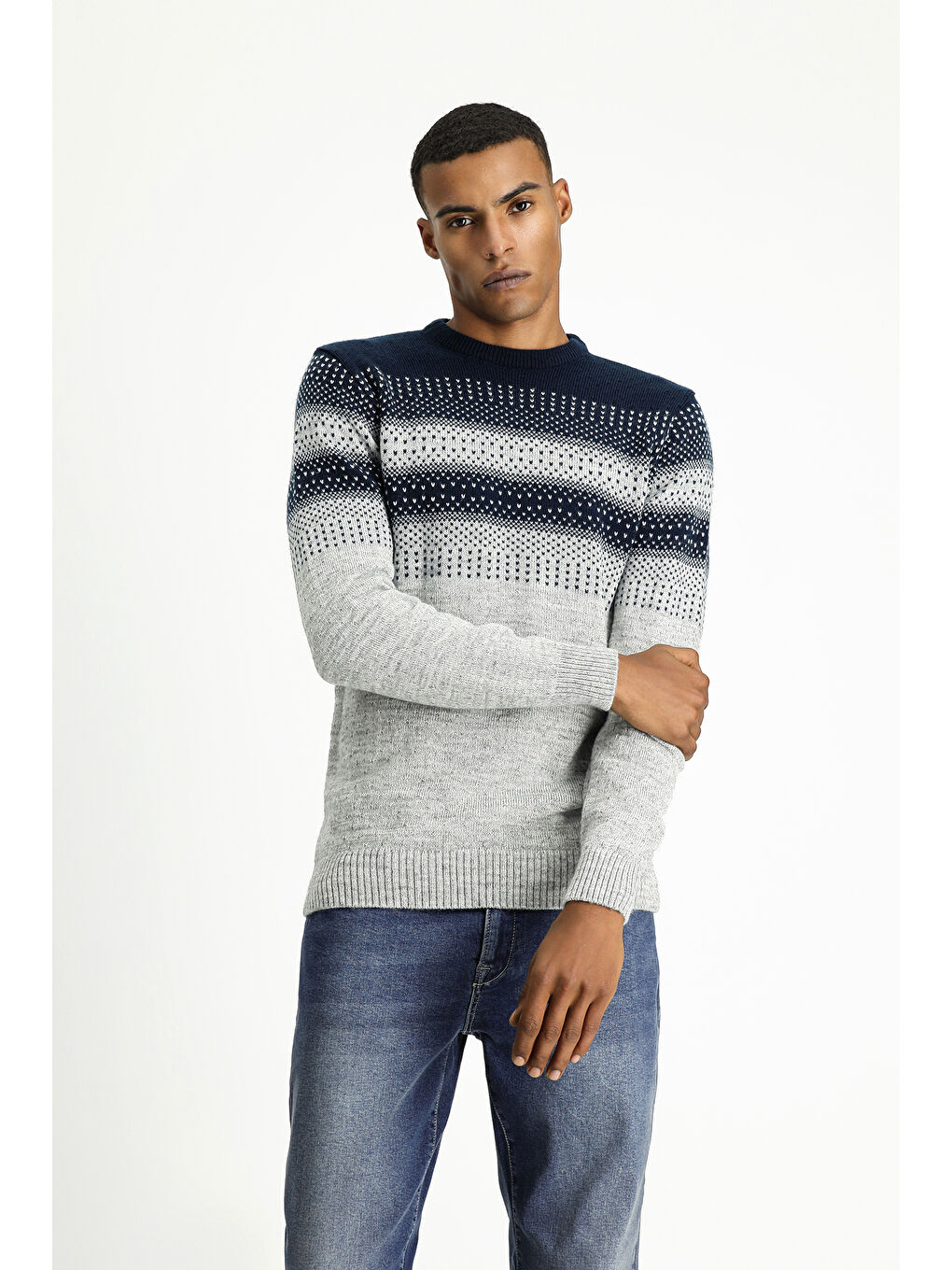 Gri Bisiklet Yaka Regular Fit Desenli Triko Büyük Beden Kazak