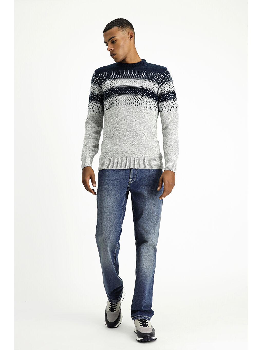 Gri Bisiklet Yaka Regular Fit Desenli Triko Büyük Beden Kazak-1