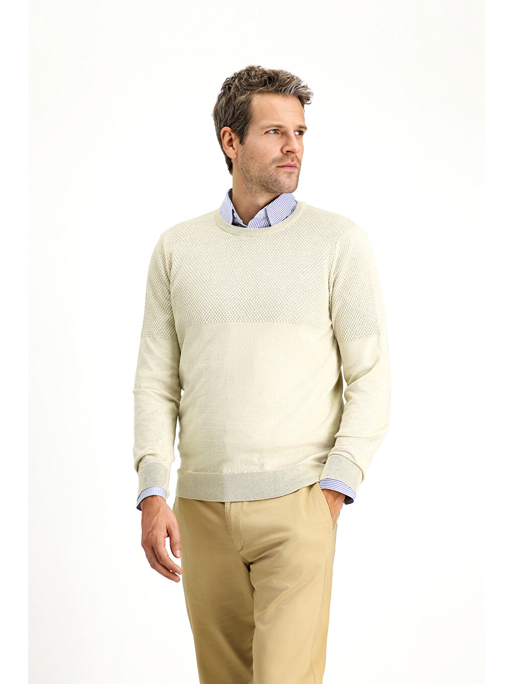 Bej Bisiklet Yaka Slim Fit Dar Kesim Desenli Pamuklu Triko Büyük Beden Kazak