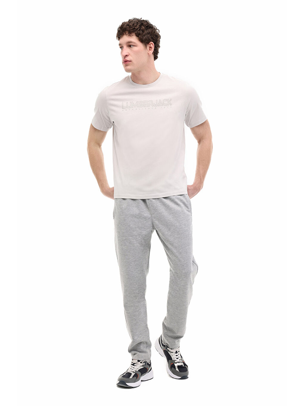 Gri ML ULRICH  11ID1-100 6FX GRI Erkek Kısa Kol T-Shirt-2