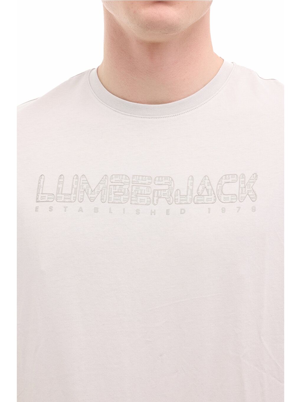 Gri ML ULRICH  11ID1-100 6FX GRI Erkek Kısa Kol T-Shirt-3