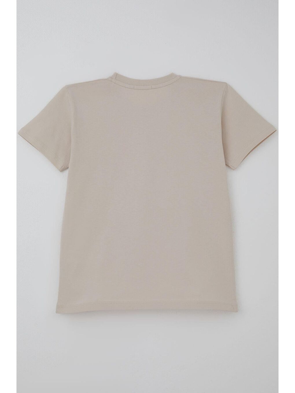 Bej Erkek Çocuk Tişört Basic Taş (9-14 Yaş)-1