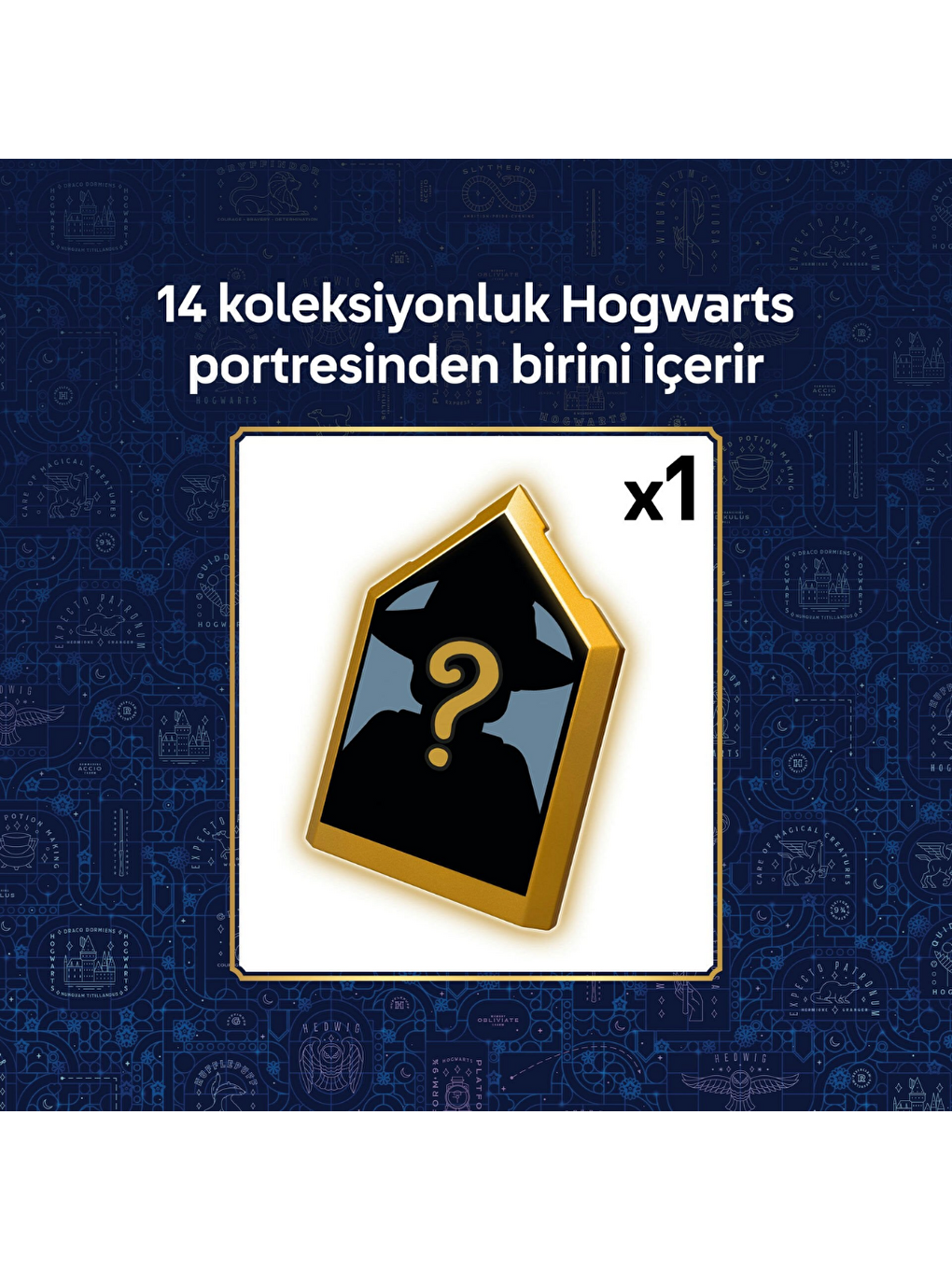 Harry Potter Kazan Gizli İksir Sınıfı 76464-7