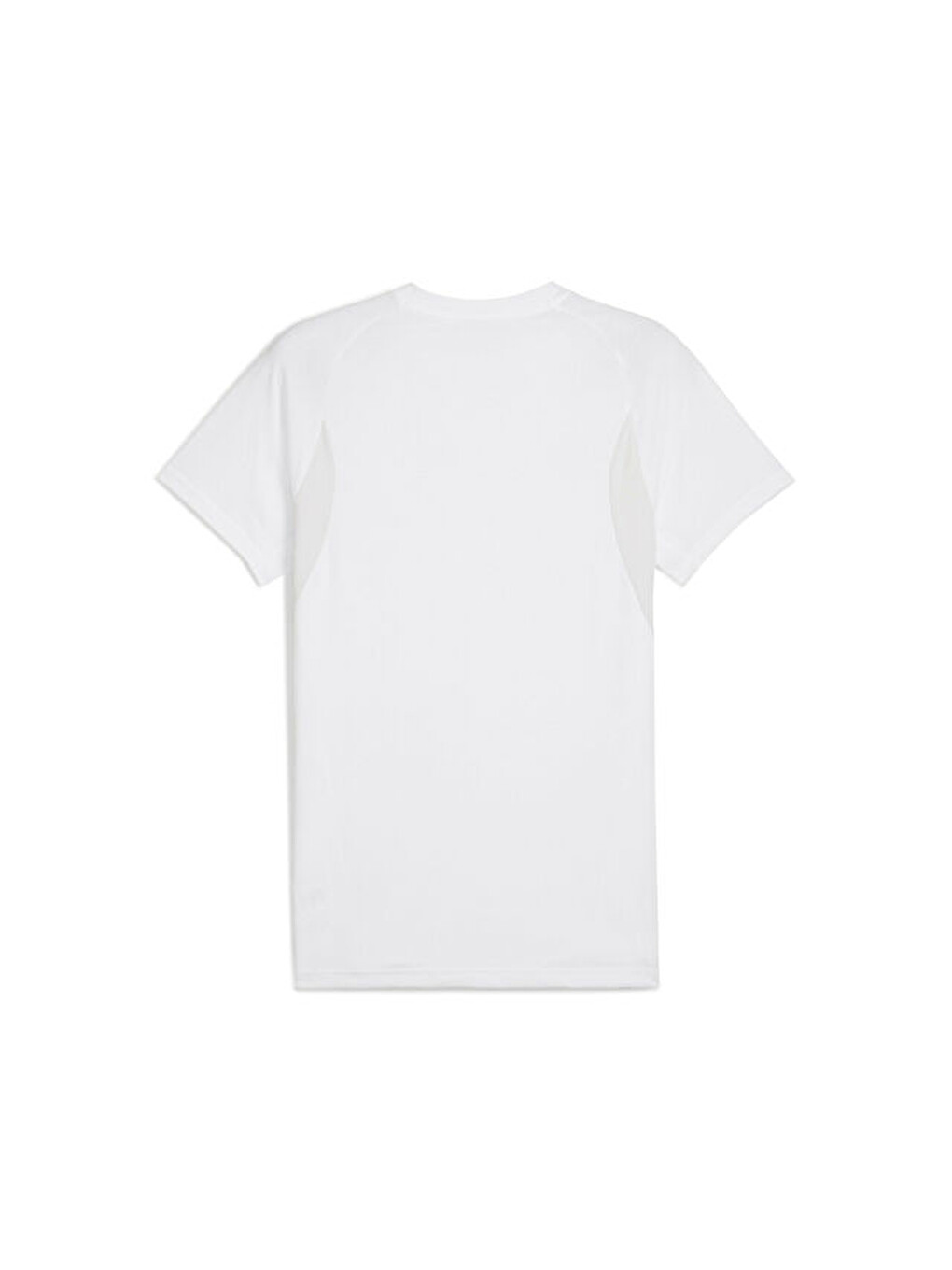 Team Evostripe Tee Erkek Futbol Antrenman Tişörtü 65995304 Beyaz-1