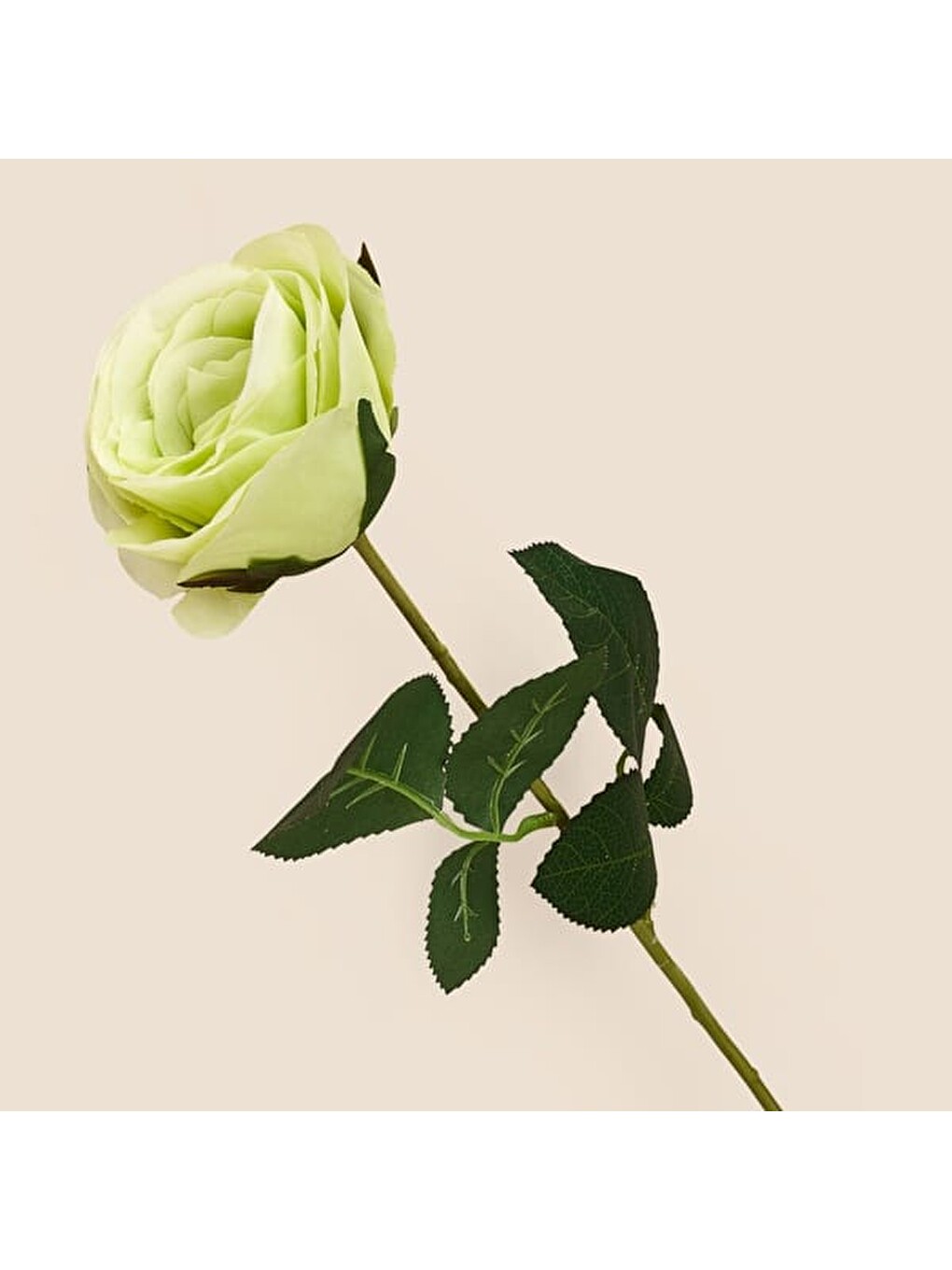 Deco Gül Yapay Dal Çiçek - Açık Yeşil - 68 cm-1
