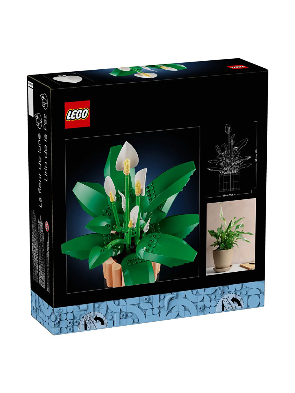 Botanicals Barış Çiçeği 11504-5