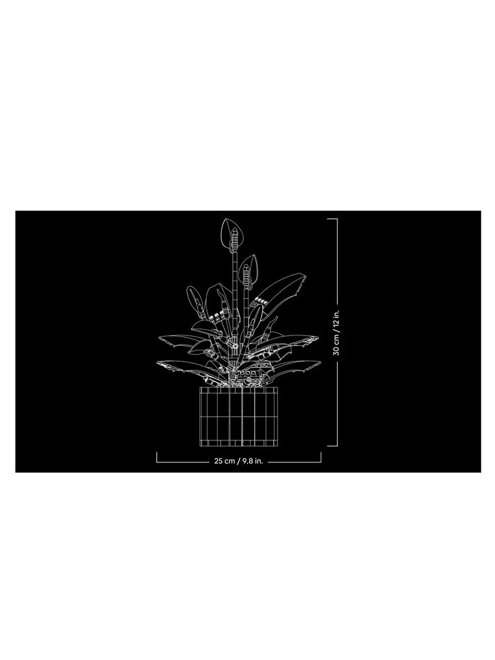 Botanicals Barış Çiçeği 11504-6