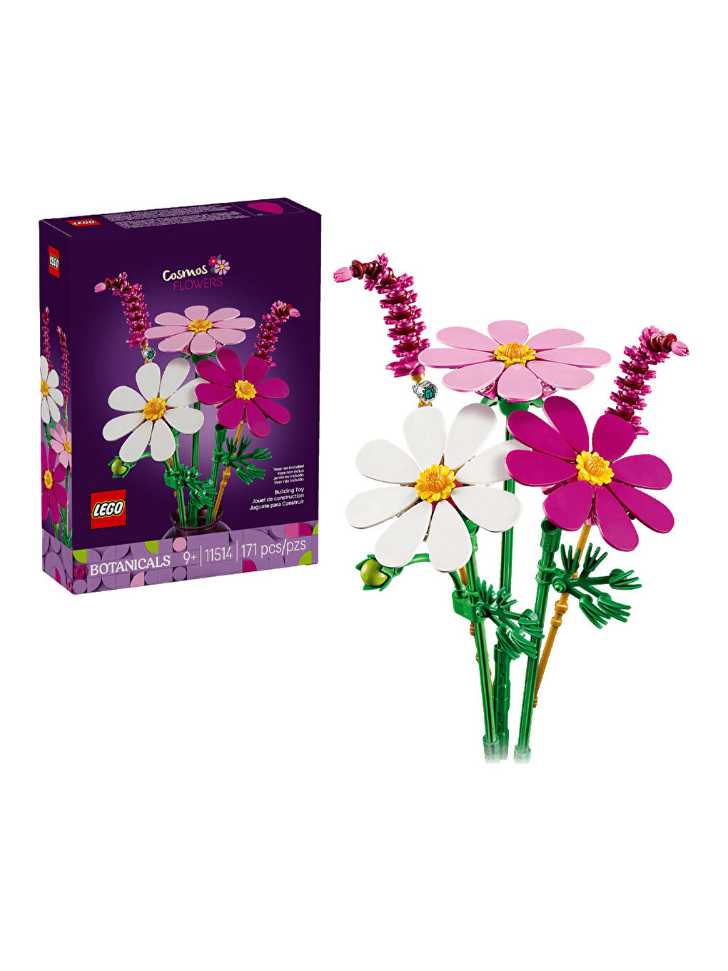 Botanicals Kozmos Çiçekleri 11514