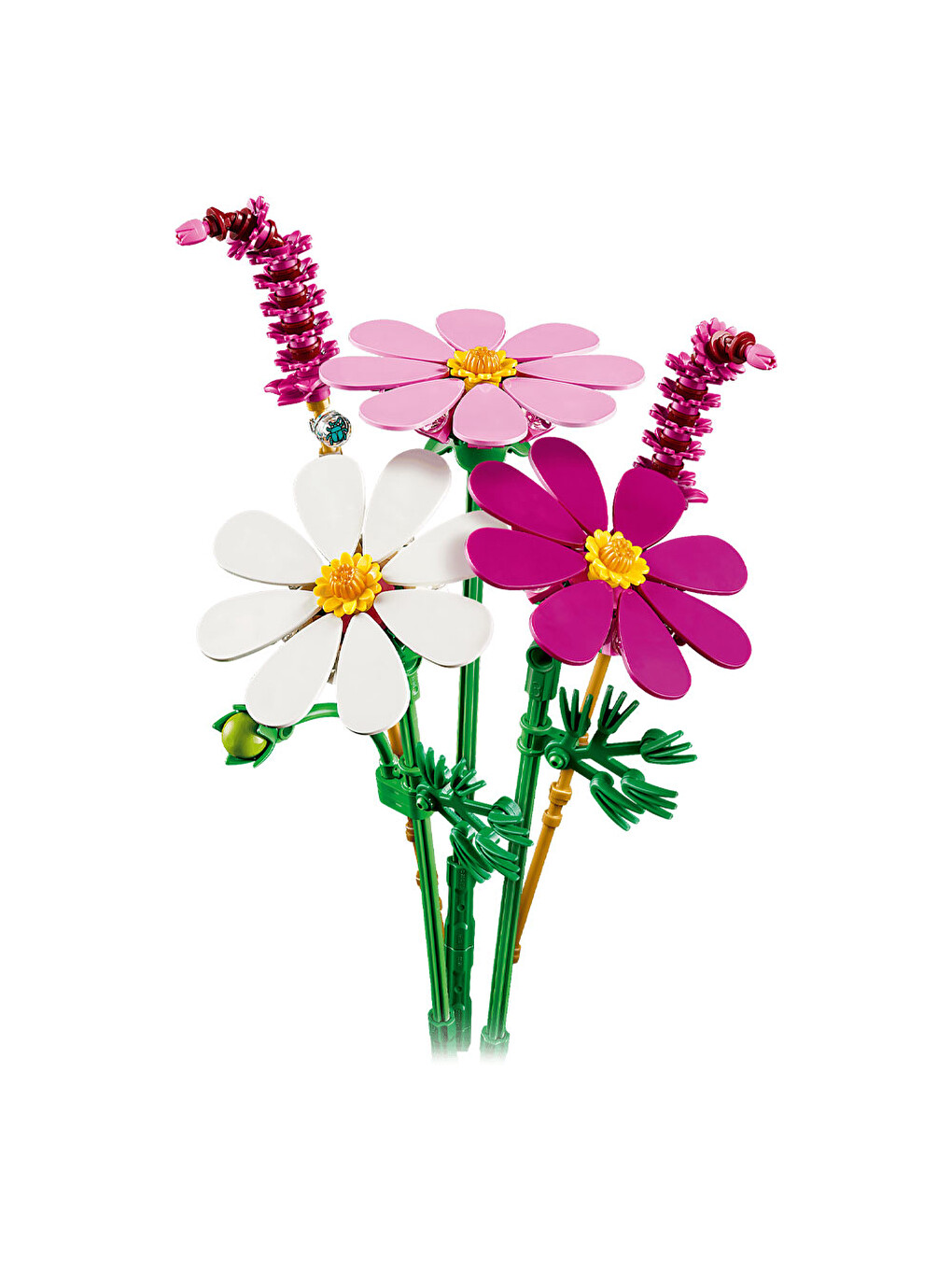 Botanicals Kozmos Çiçekleri 11514-2