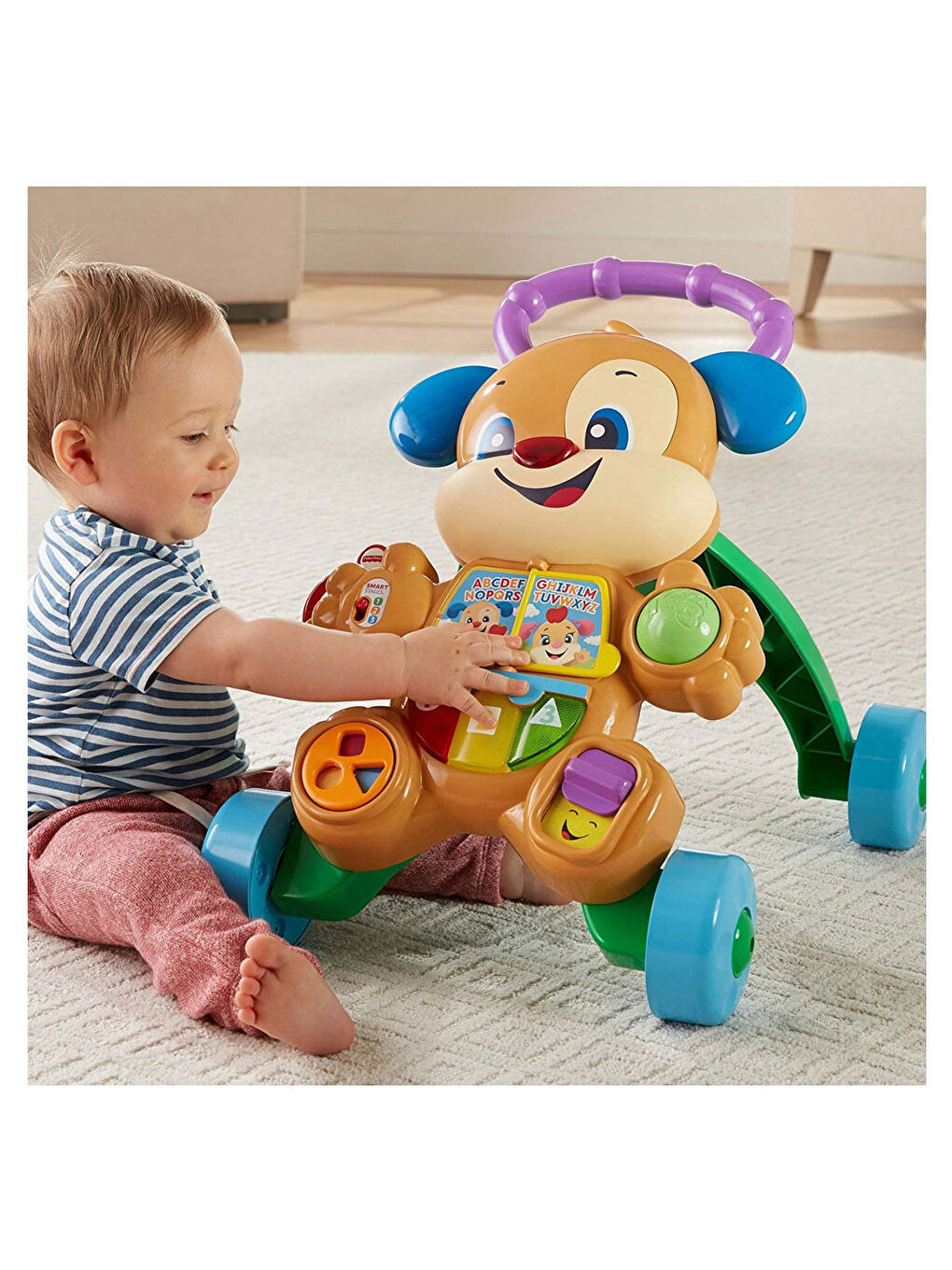 Eğitici Köpekçik Yürüteç Türkçe FTG10-2