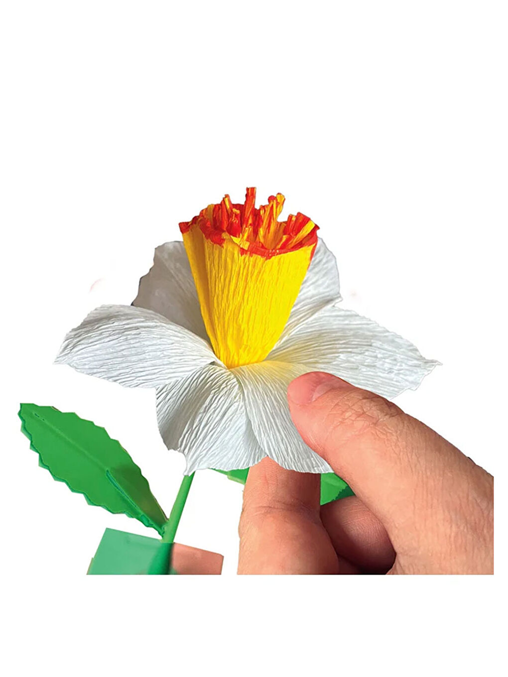 Idea Çiçek Tasarıım Seti Nergis 18876-3