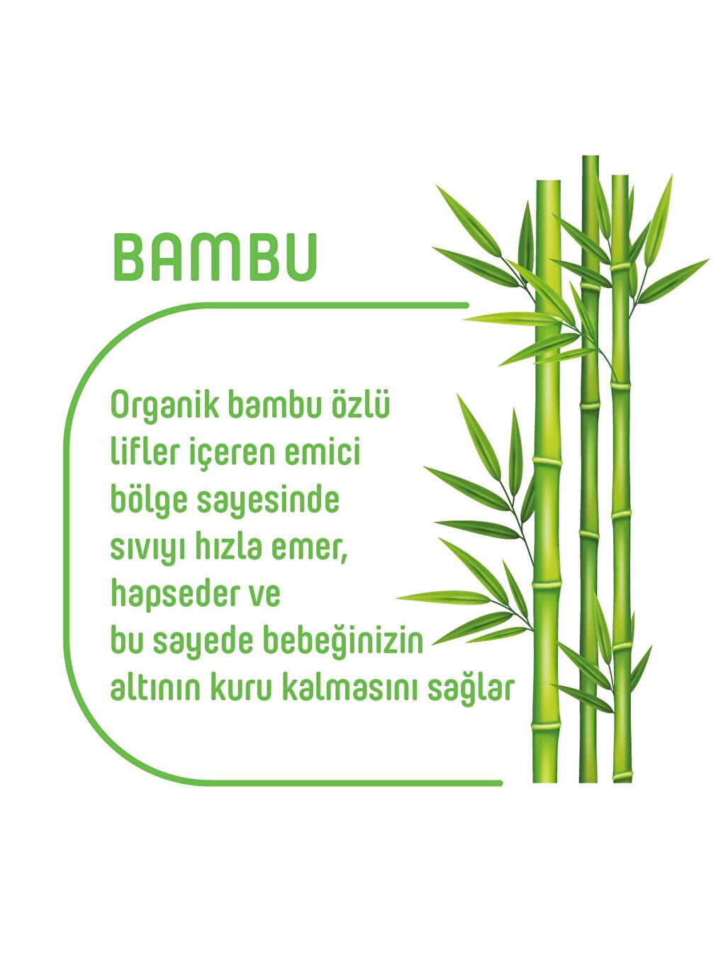 Pure Baby Renksiz Organik Bambu Özlü Külot Bez Tekli Paket 4 Numara Maxi 48 Adet - 3