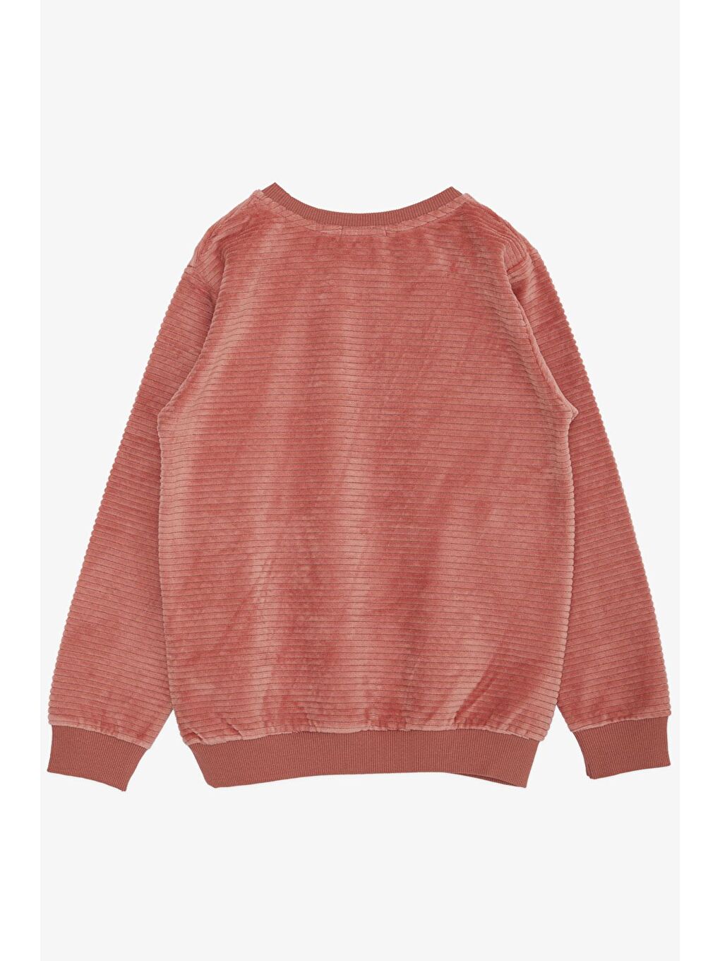 Pembe Erkek Çocuk Sweatshirt Kadife Basic Gülkurusu (4-8 Yaş)-1