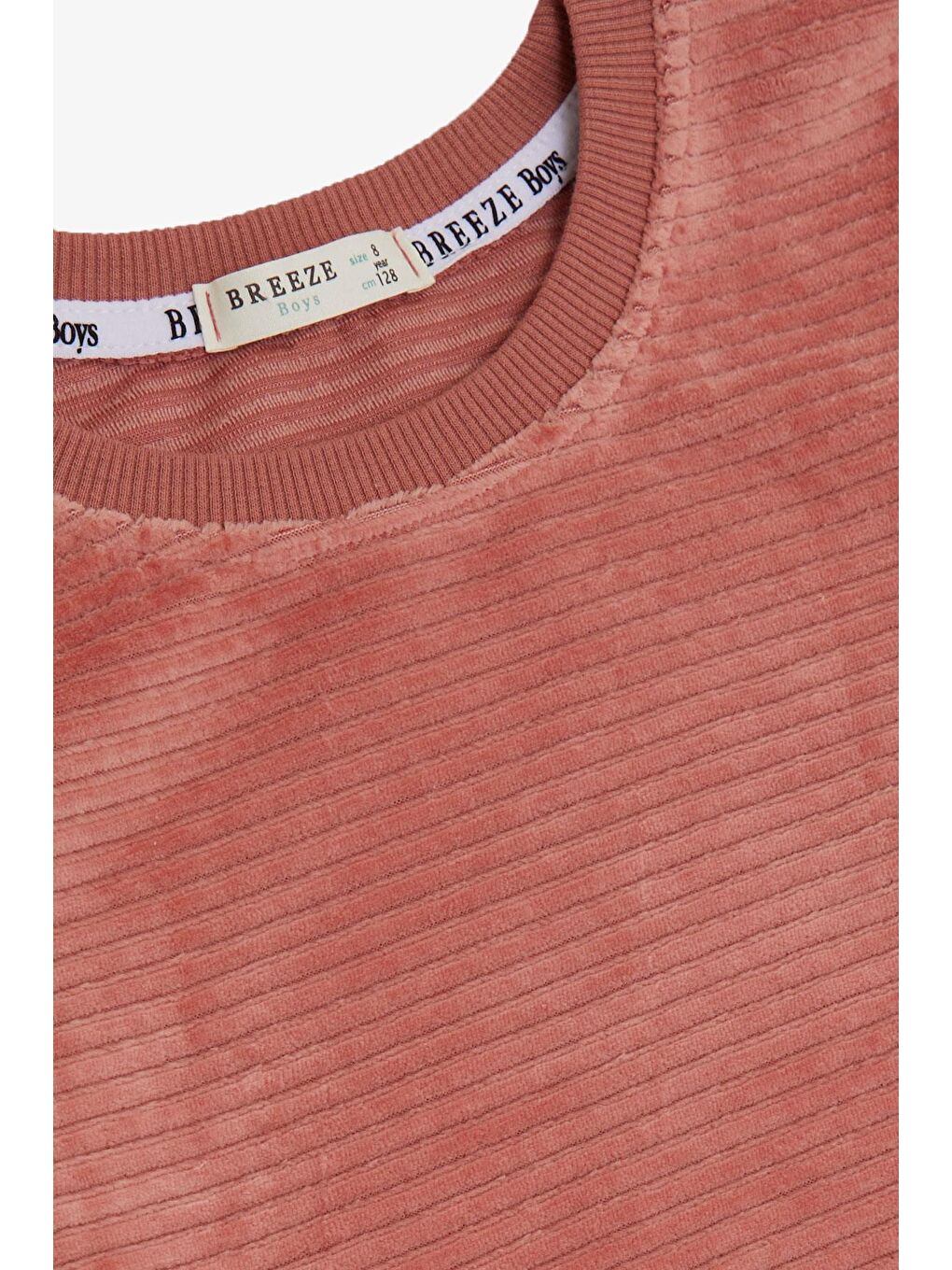 Pembe Erkek Çocuk Sweatshirt Kadife Basic Gülkurusu (4-8 Yaş)-2