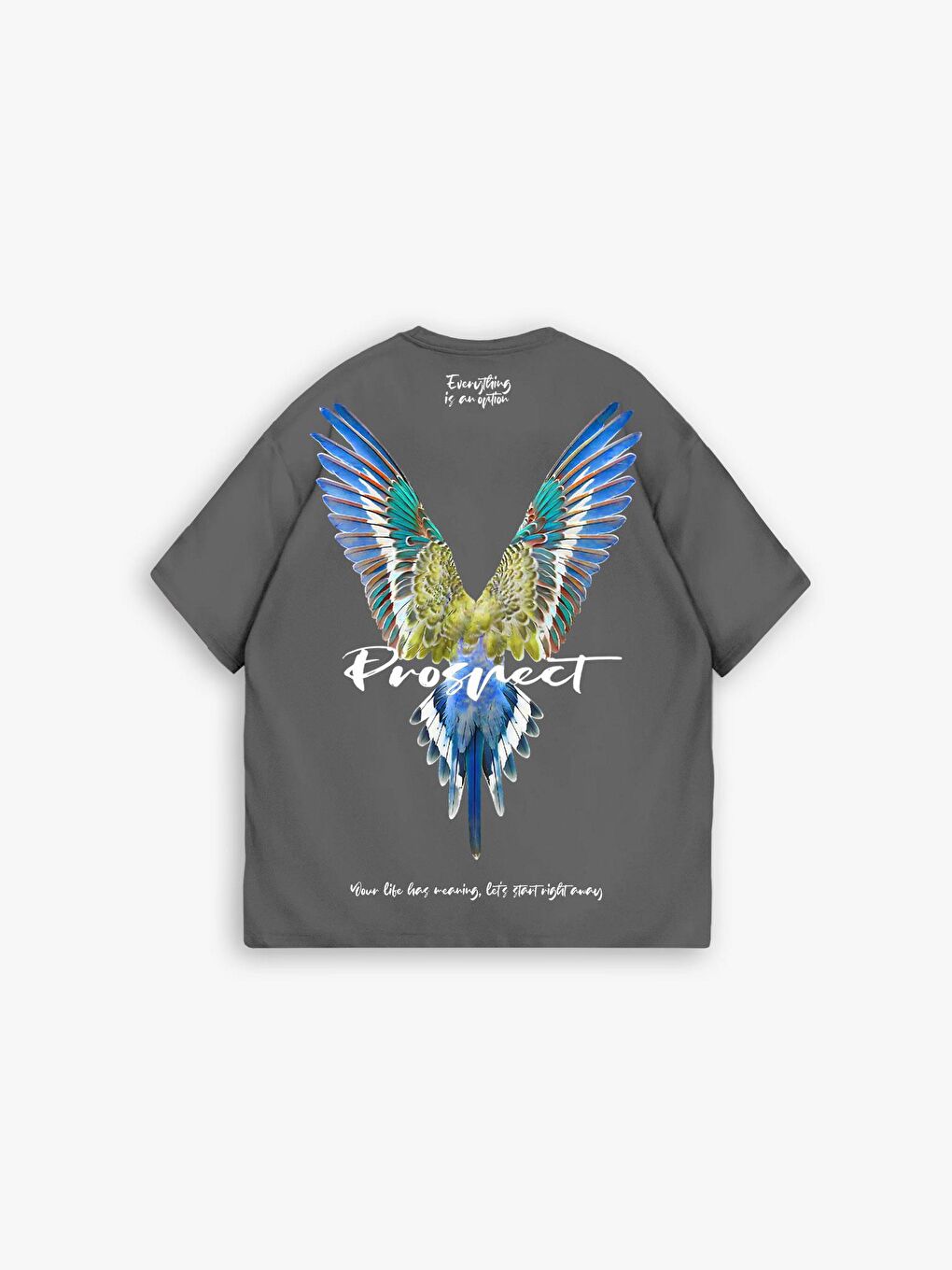 Erkek Oversize 'Everything İs An Option' Nakışlı %100 Pamuk Tişört Gri-3