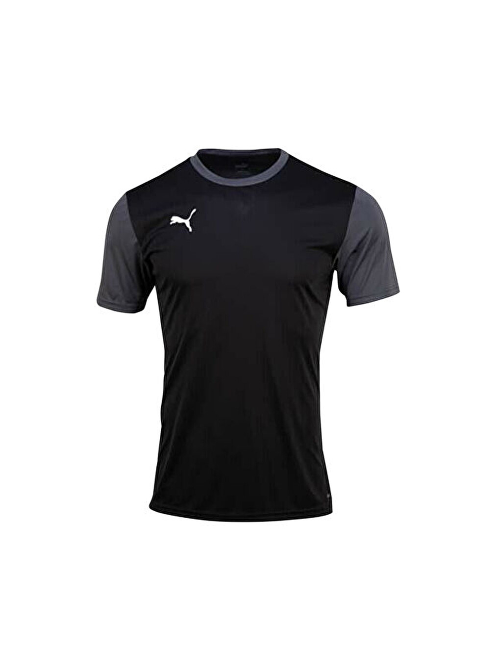 Teamgoal 23 Sideline Tee Erkek Futbol Tişörtü 65648403 Siyah