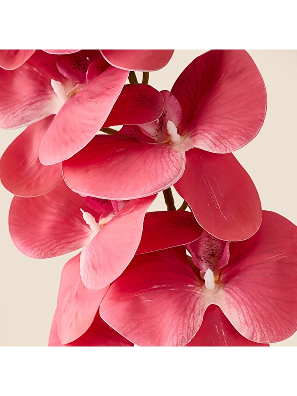 Deco Orkide Yapay Dal Çiçek - Koyu Pembe - 104 cm-1