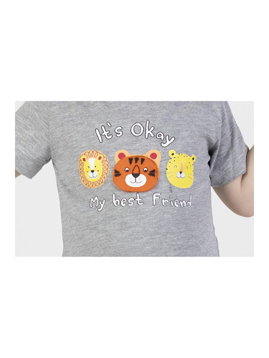 Gri Erkek Bebek Kaprili Kısa Kollu Baskılı Yazlık Basic Alt-Üst Takım 6-24 ay-2