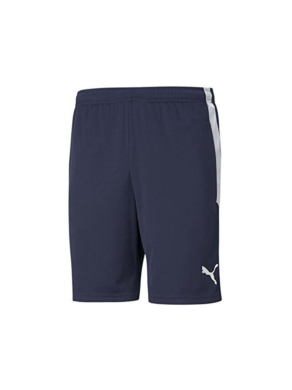 Teamliga Training Shorts Erkek Futbol Maç Şortu 65724906 Lacivert