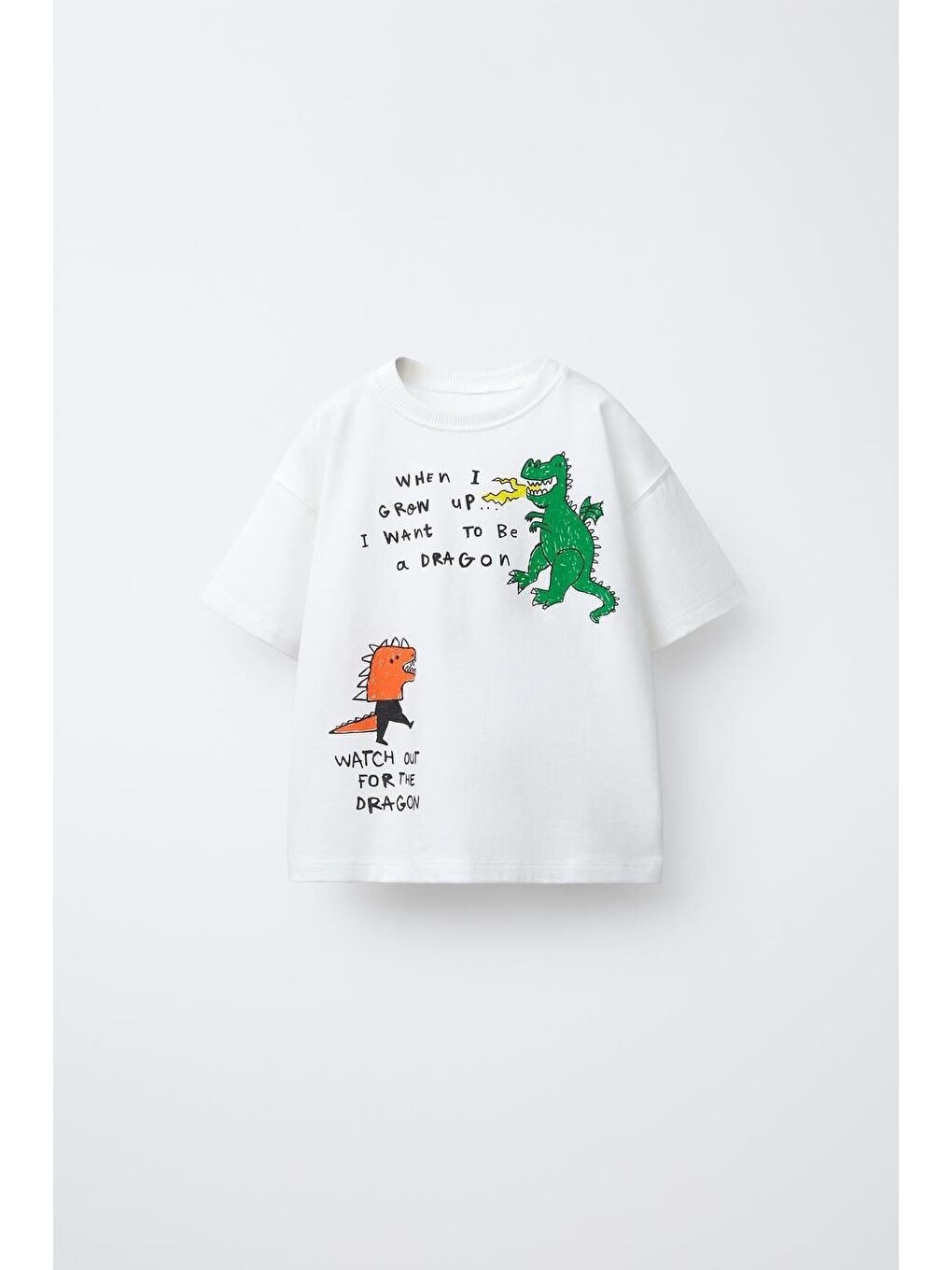 Karışık Erkek Çocuk Pamuklu Ejderha Baskılı T-Shirt Şort Takım-4