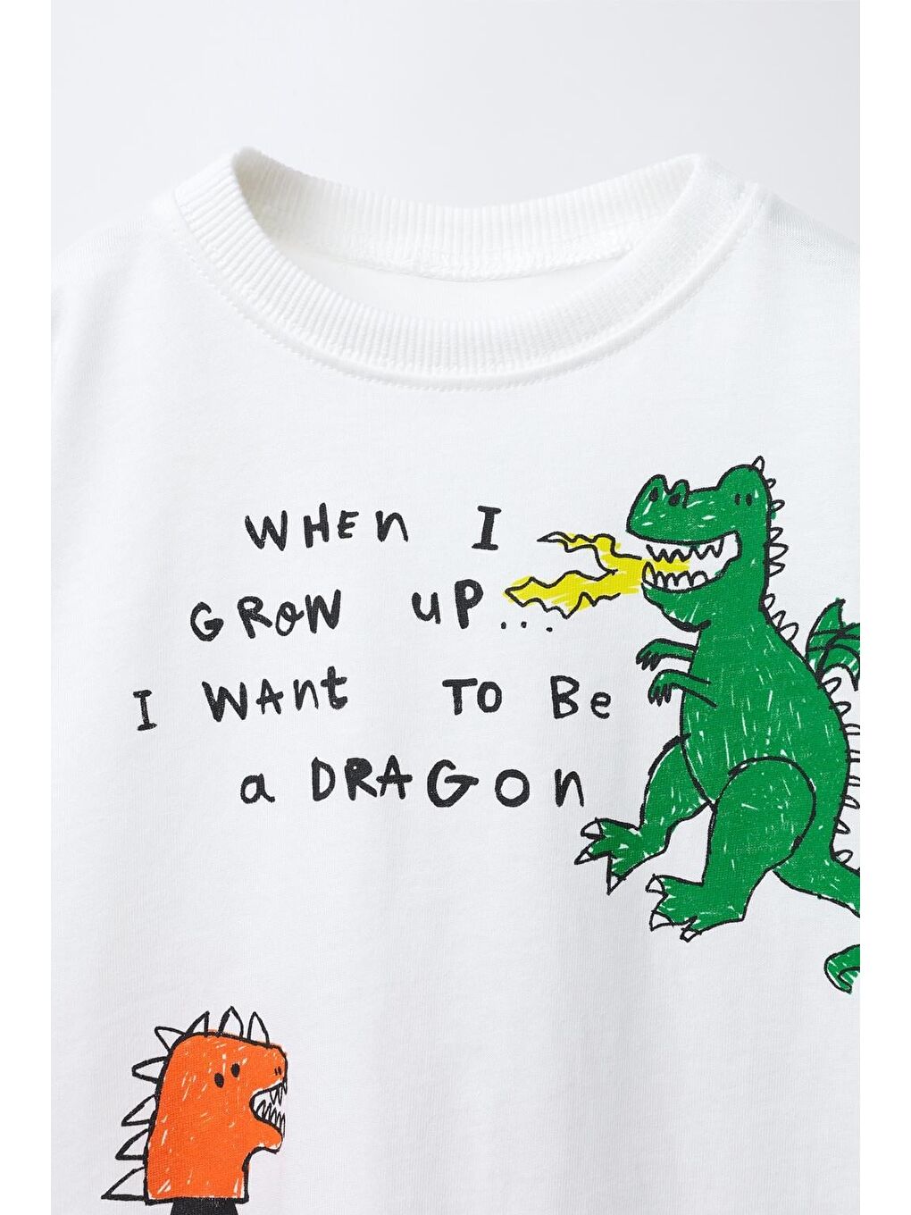 Karışık Erkek Çocuk Pamuklu Ejderha Baskılı T-Shirt Şort Takım-5