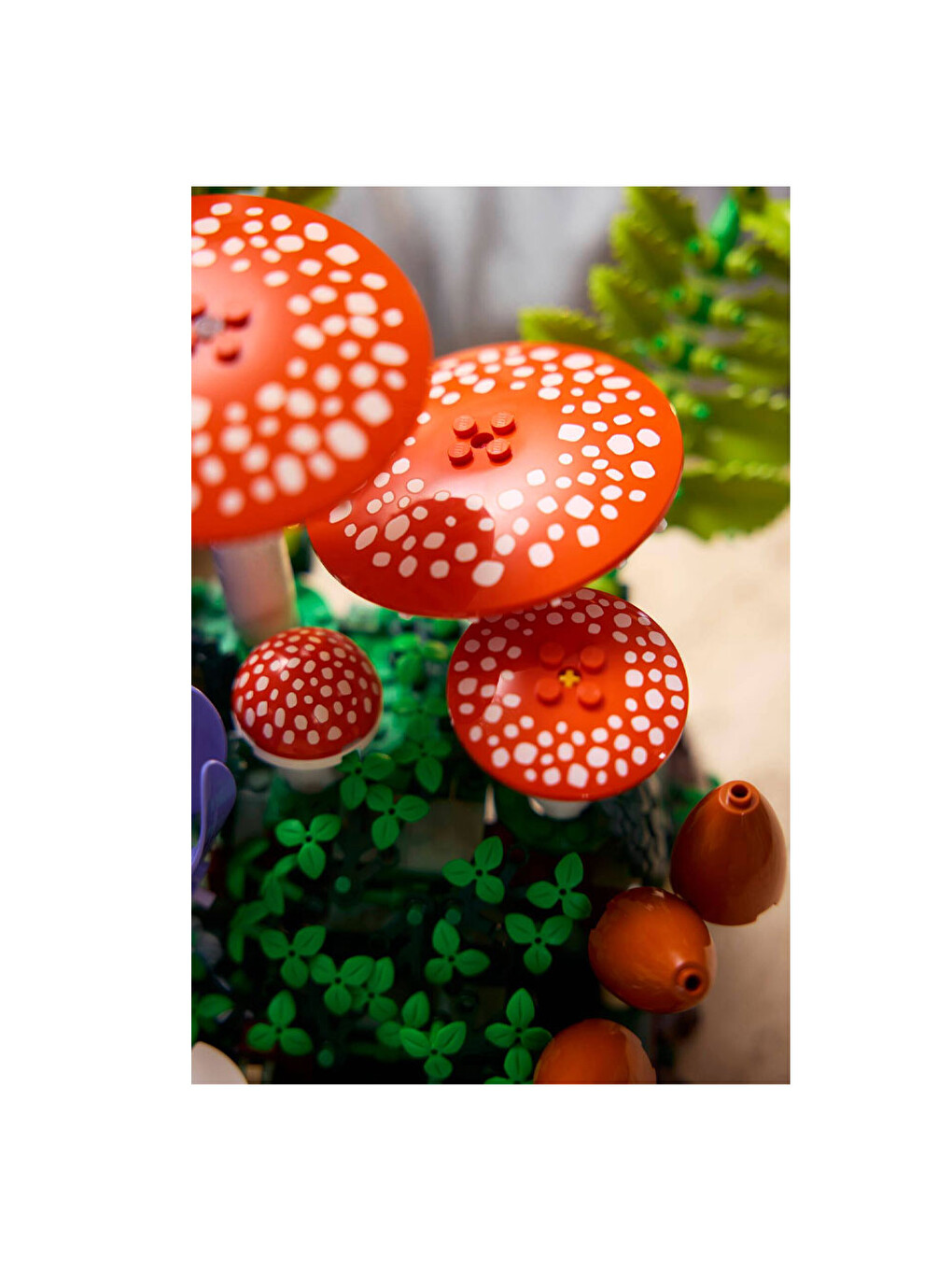 Botanicals Orman Mantarları 11505-4