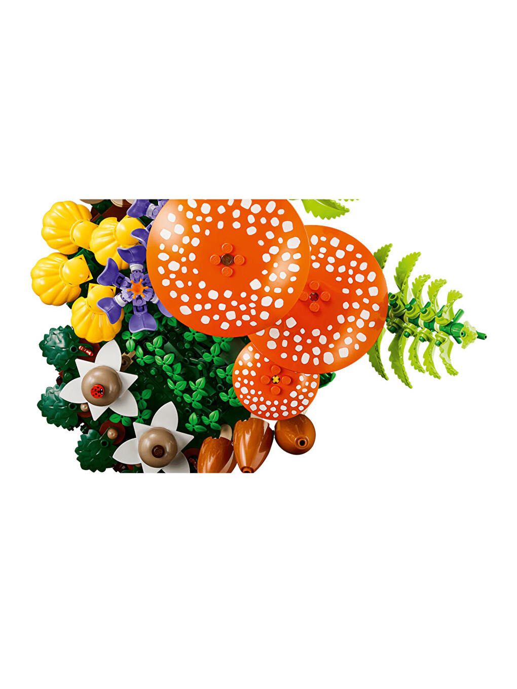 Botanicals Orman Mantarları 11505-6