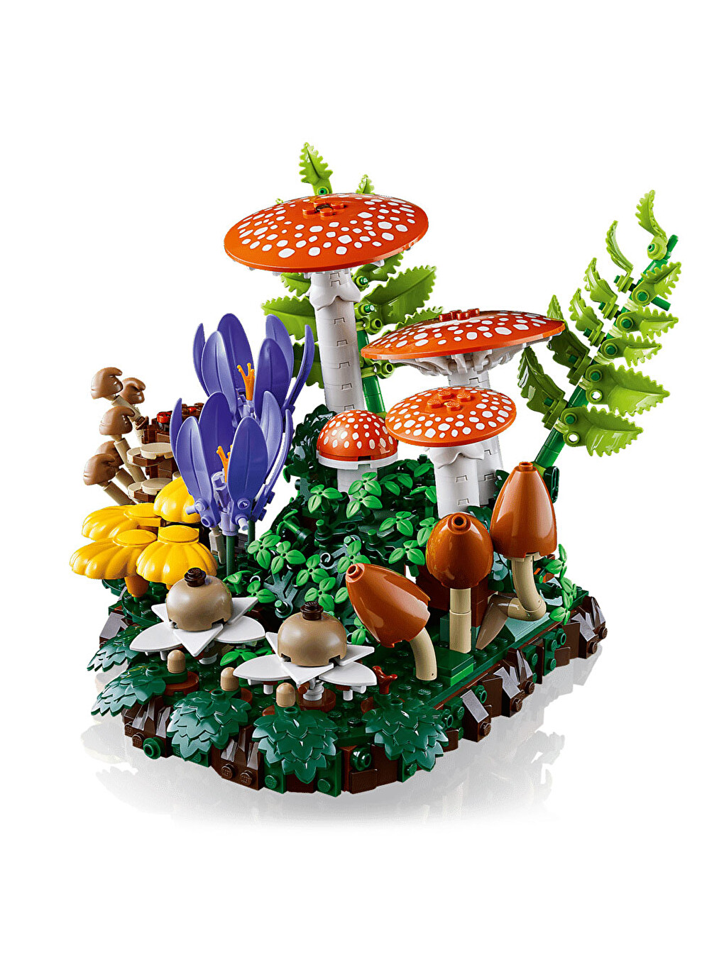 Botanicals Orman Mantarları 11505-8