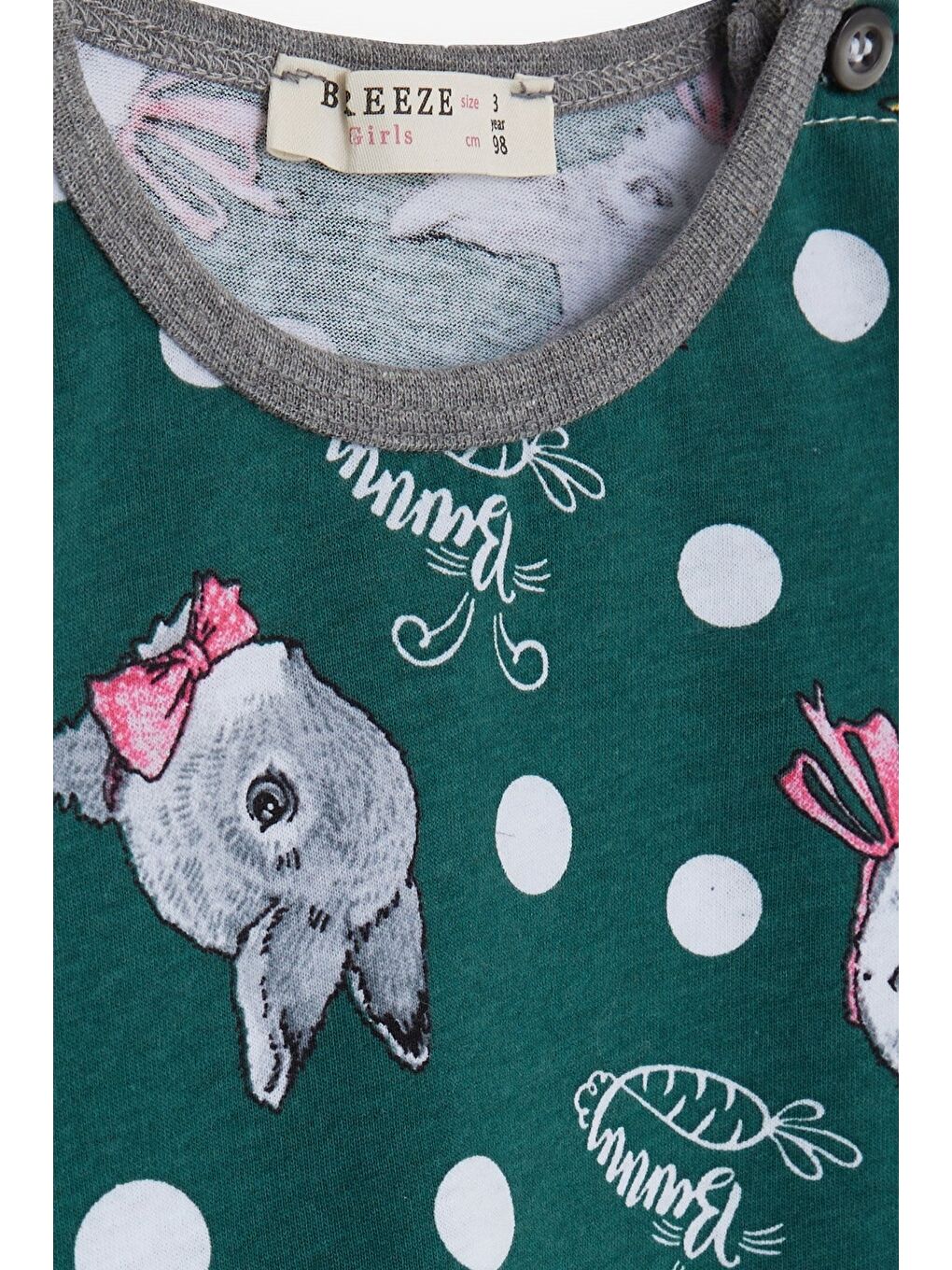 Breeze Kız Bebek Pijama Takımı Tavşancık Desenli Yeşil (9 Ay-1.5 Yaş) - 4