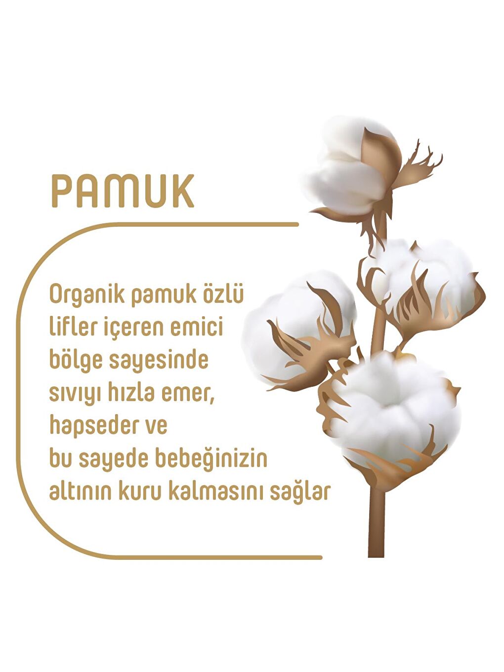 Pure Baby Renksiz Organik Pamuklu Cırtlı Bez Tekli Paket 6 Numara Xlarge 32 Adet - 3