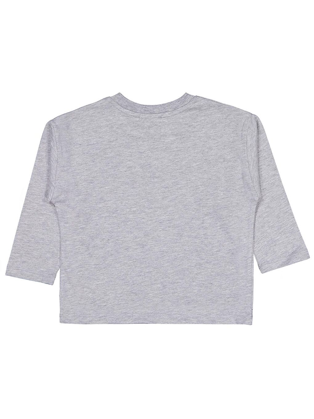 Boys Nyc Ayı Baskılı 2-5 Yaş Sweatshirt - Gri-1