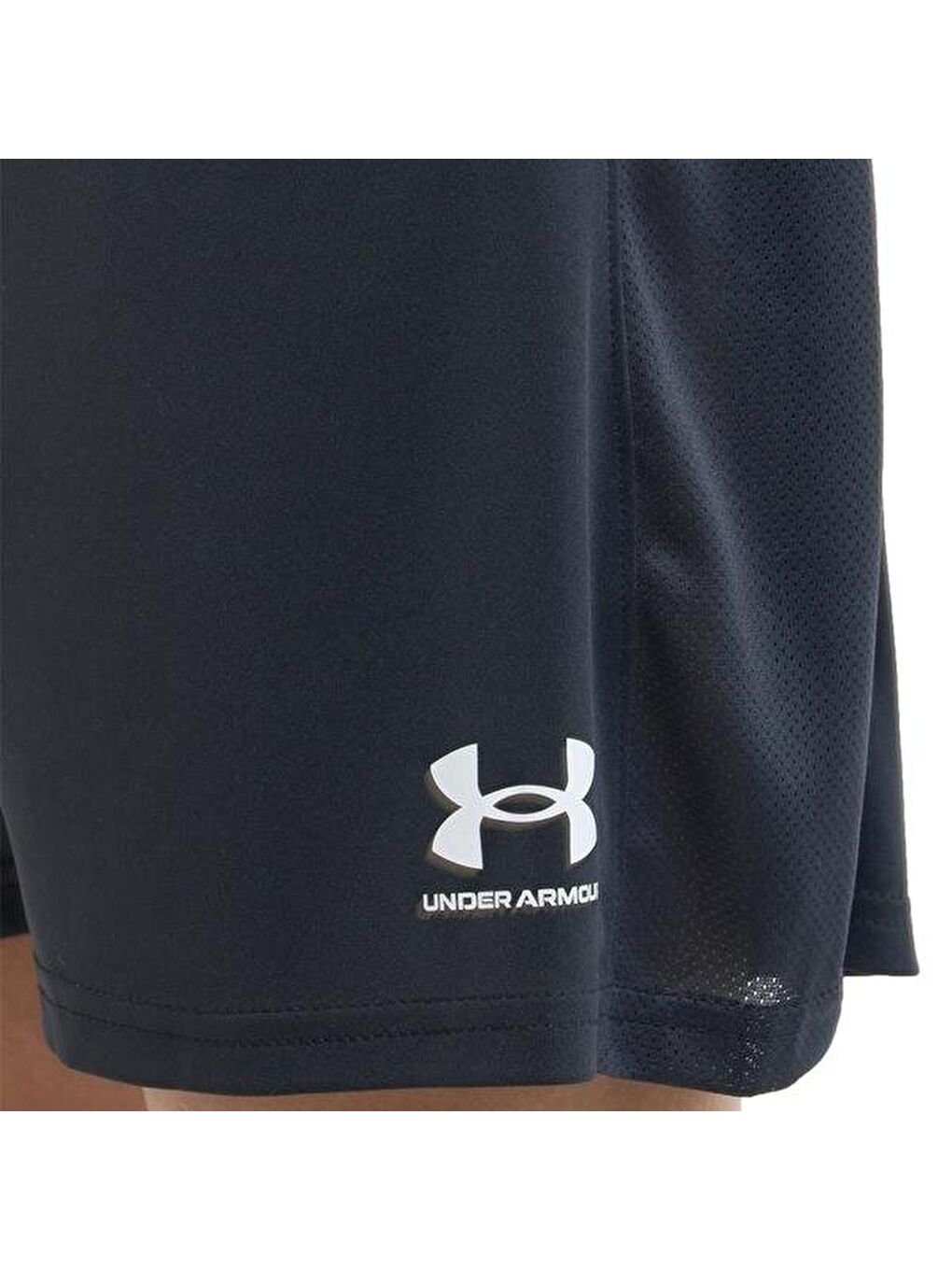 Challenger Knit Erkek Siyah Şort-2