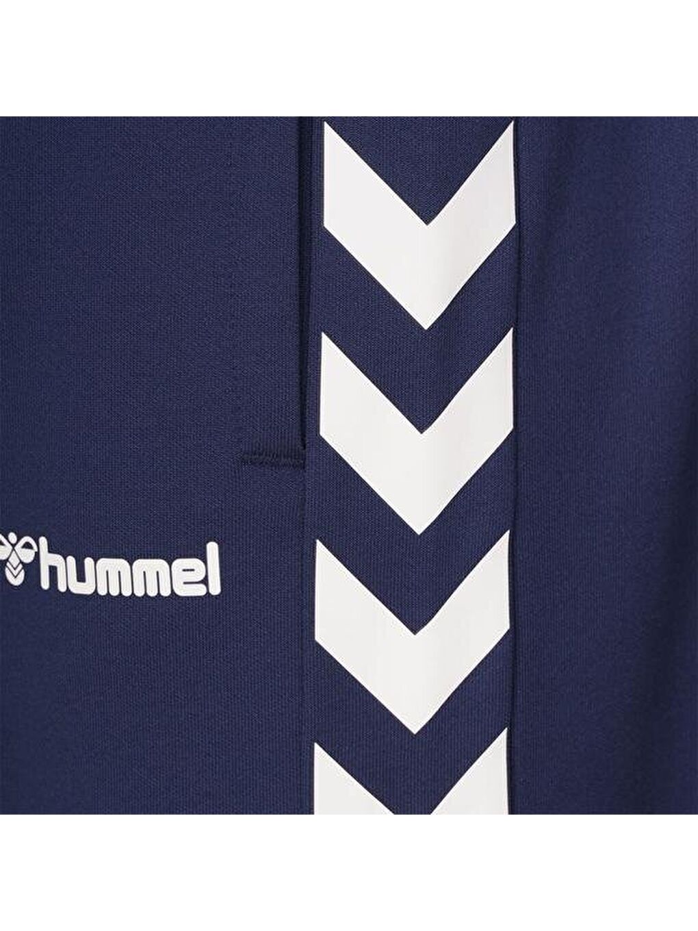 Falconzo Erkek Lacivert Şort-3