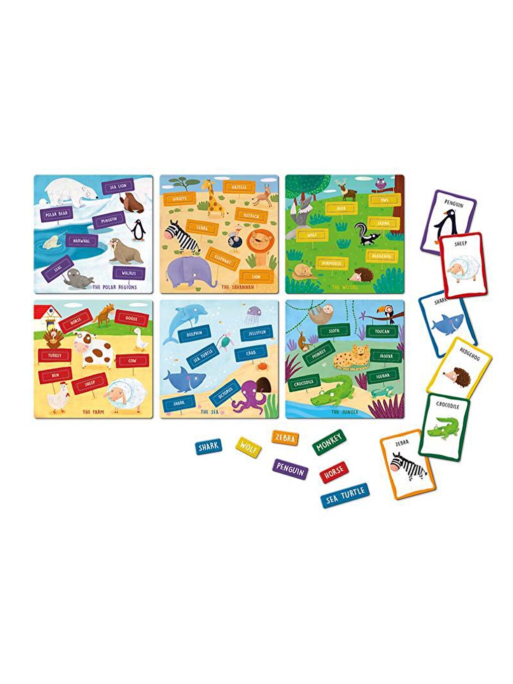 Ludattica Renksiz I Speak English - Animali - Giochi Montessori - 1