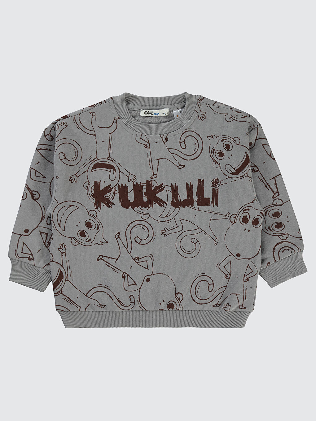 Civil Boys Erkek Çocuk Sweatshirt 2-5 Yaş Gri