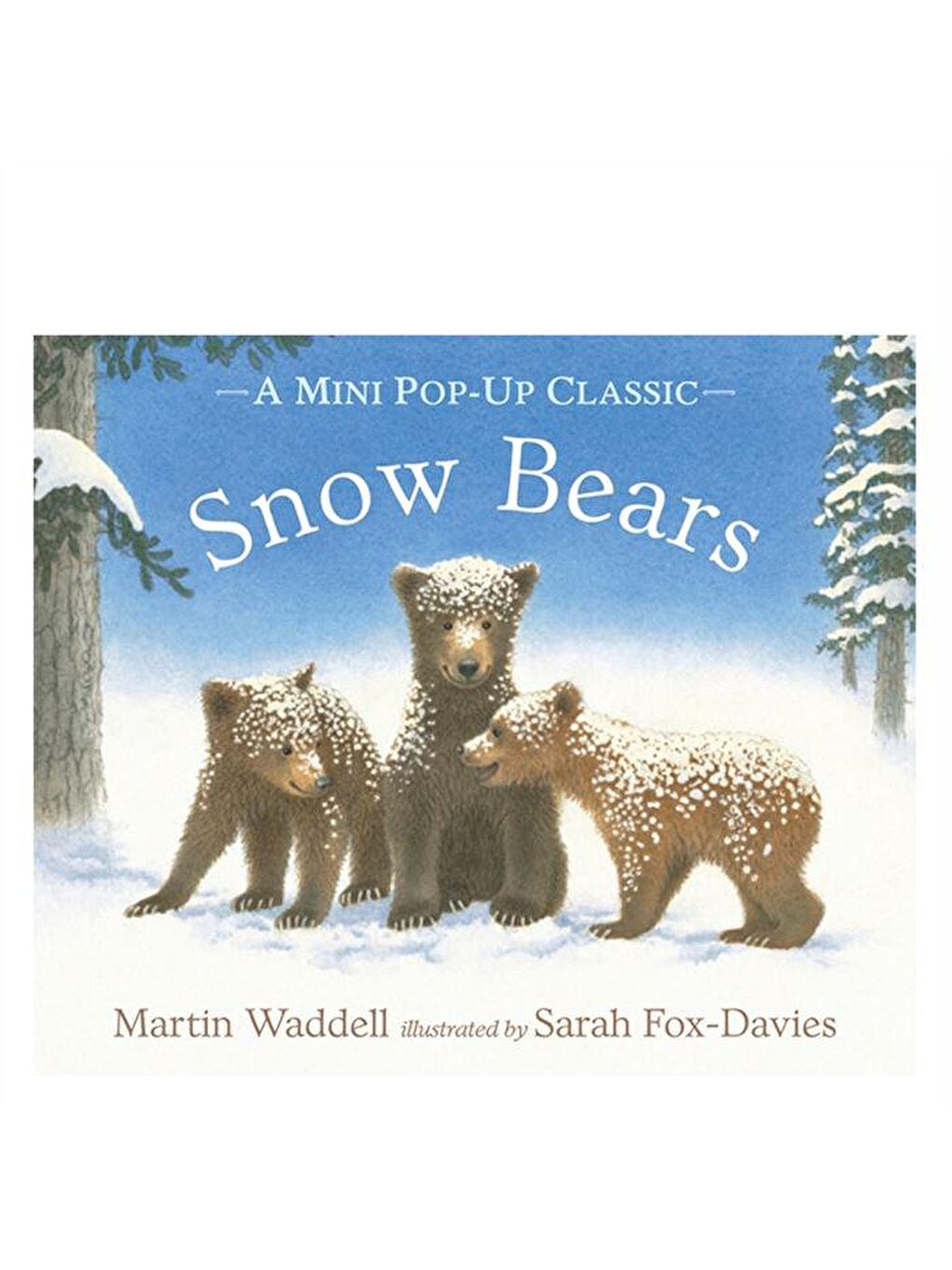 Walker Books Karışık Snow Bears