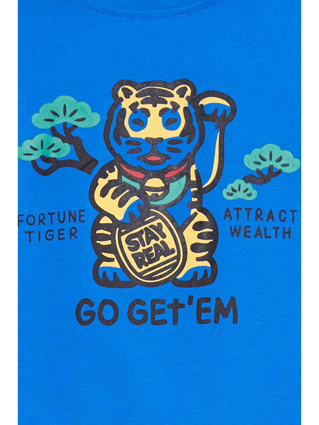 Mavi Kaplan Baskılı Cepli Erkek Bebek Eşofman Takımı 17318-3