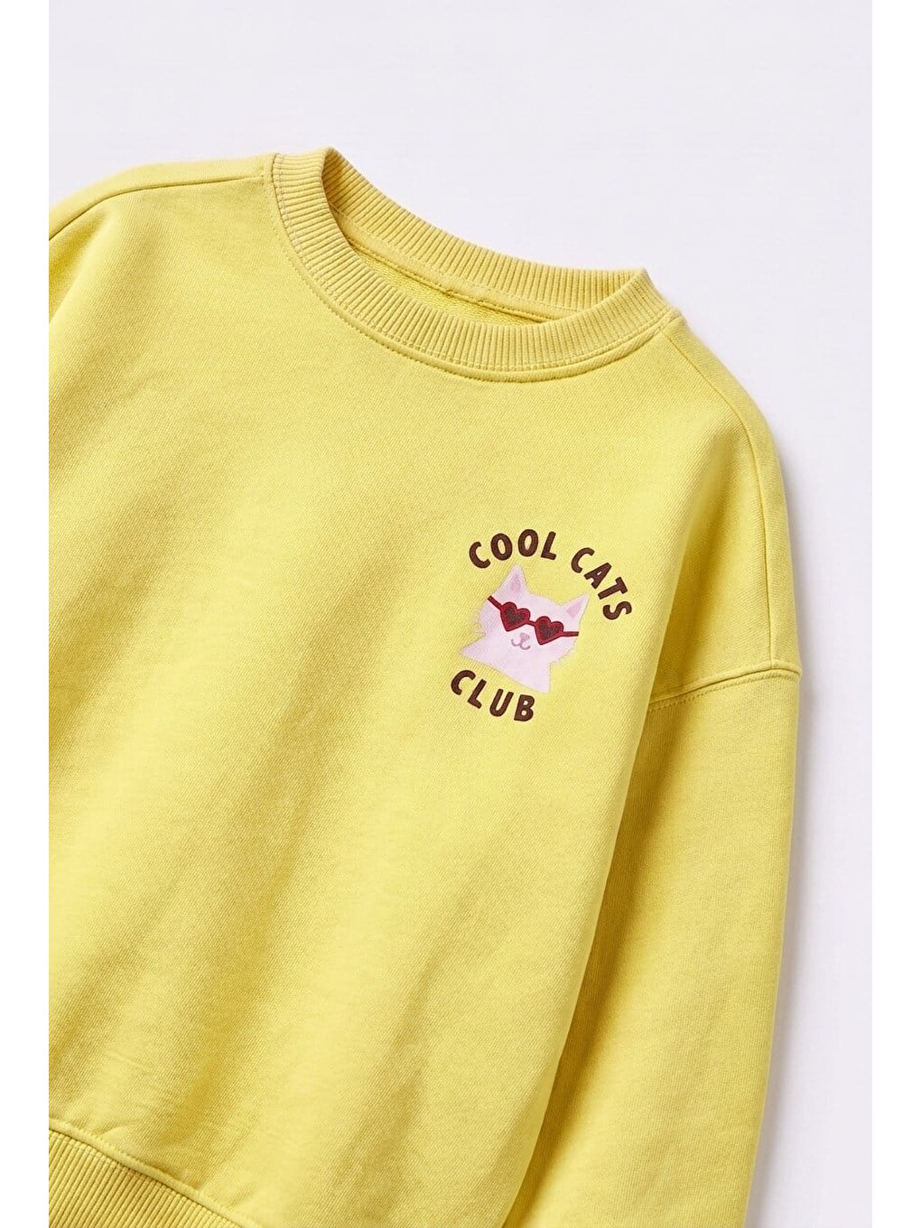 Karışık Çocuk Cool Cats Club Sweatshirt Ve Çizgili Eşofman Takımı-2